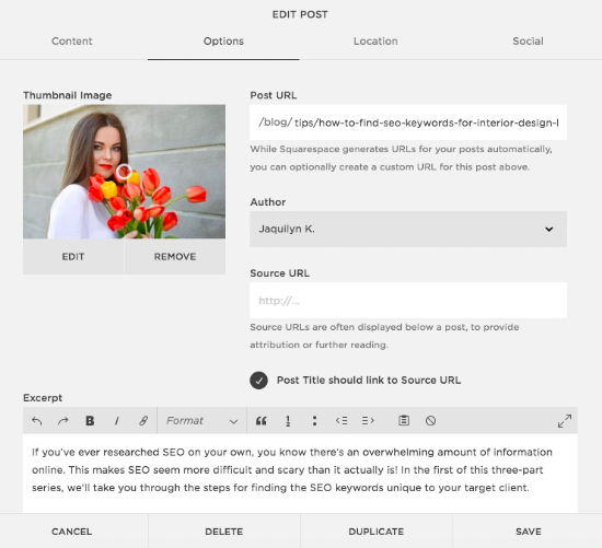 Screenshot of meta description excerpt in a blog post within Squarespace, for SEO.