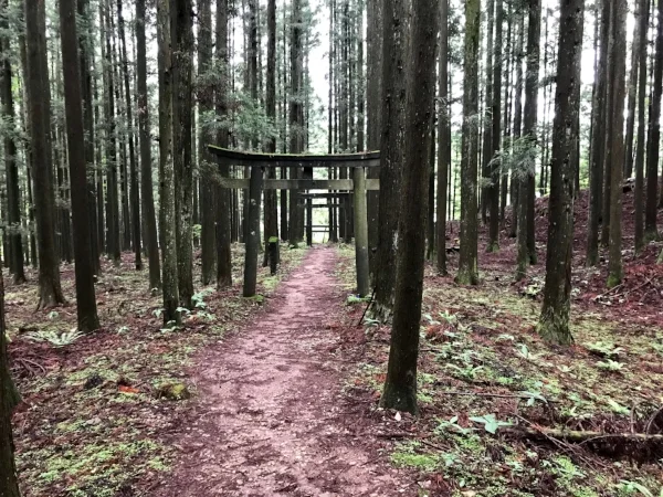Gate in the forest behind our guest house in Nikko, Japan