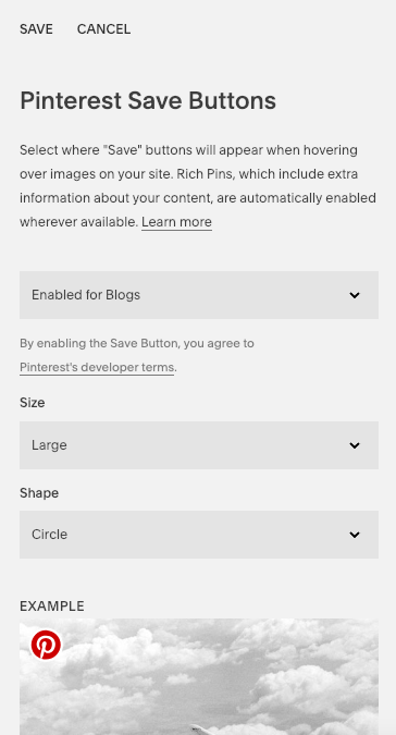 ochre-beige-how-to-make-blog-post-photos-pinnable-in-squarespace-4.png