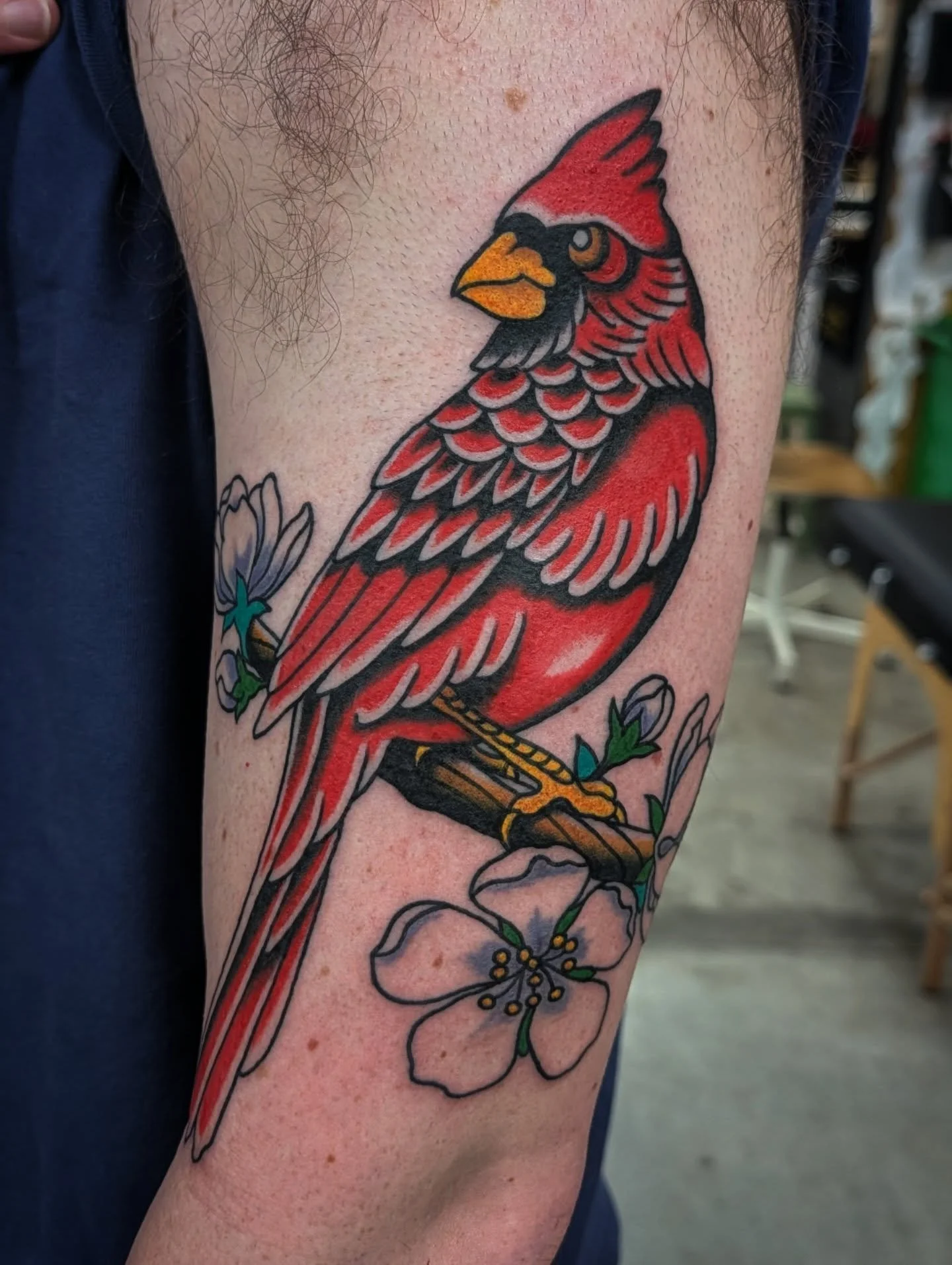 "Cardinal landed in the dogwood" @pinegroveband tattoo for Matt @thelemsipsquad yesterday, so good to see you again mate!