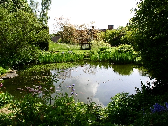 Wild garden pond Gertrude Jekyll