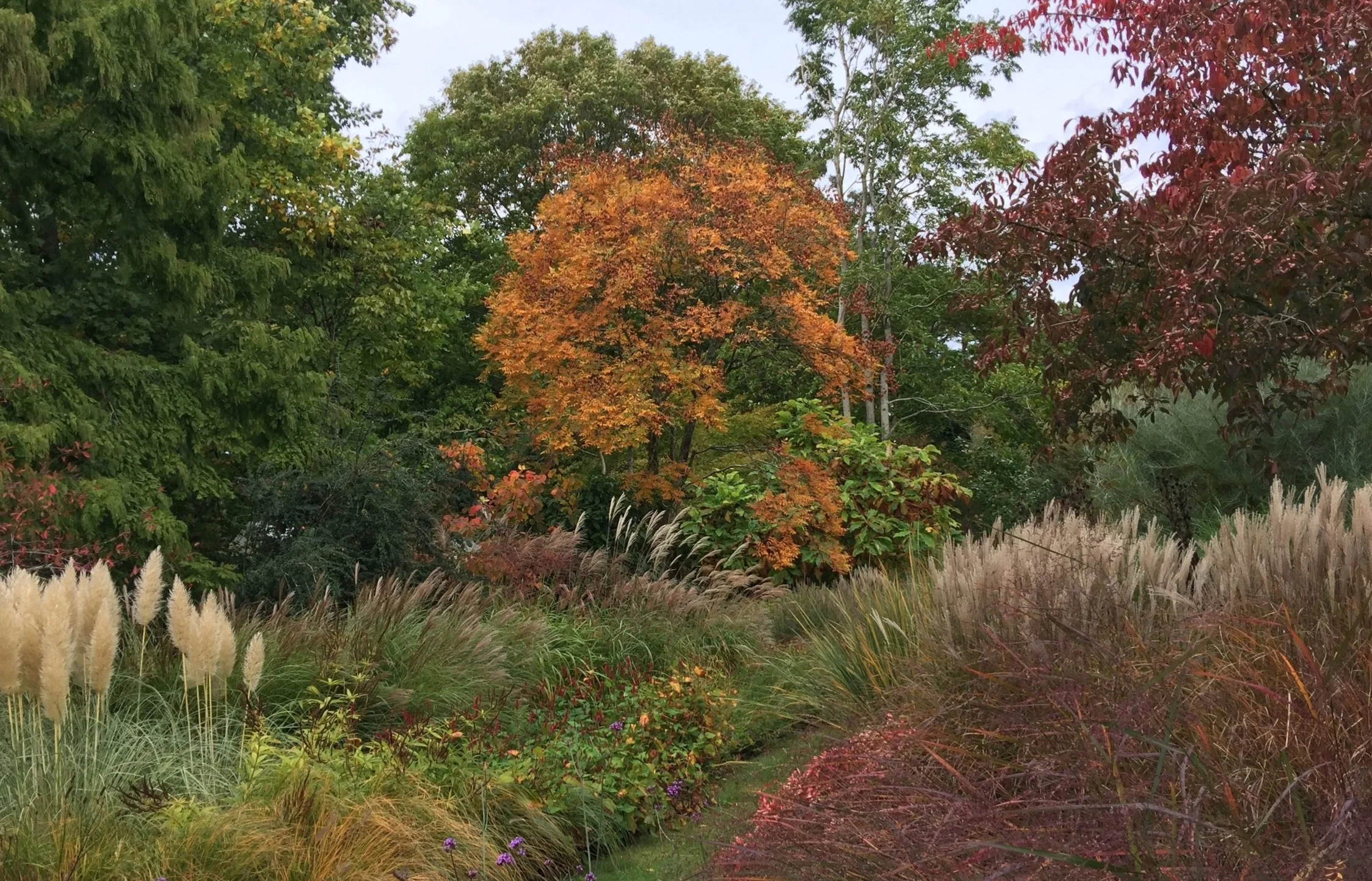 NewBarnGardenDesign%2BKnoll4.jpg