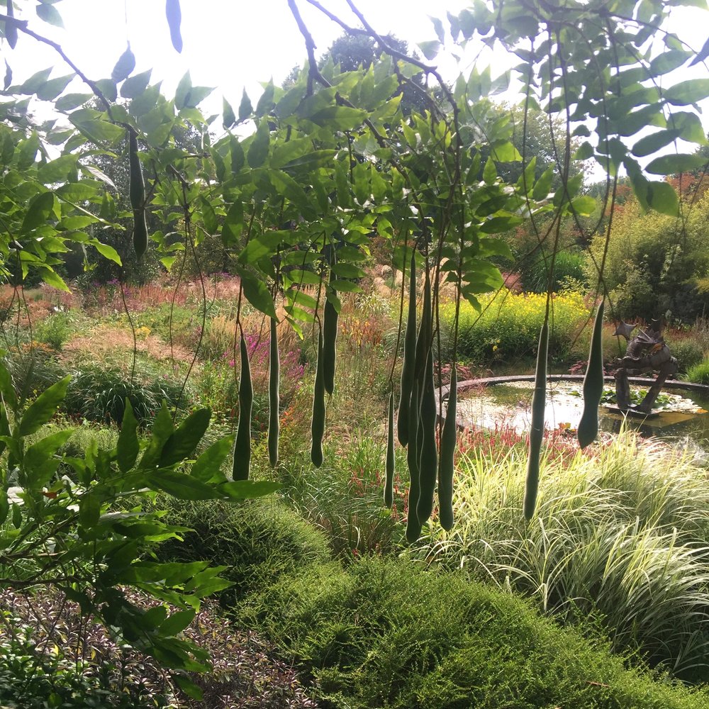 NewBarnGardenDesign Knoll2.jpeg