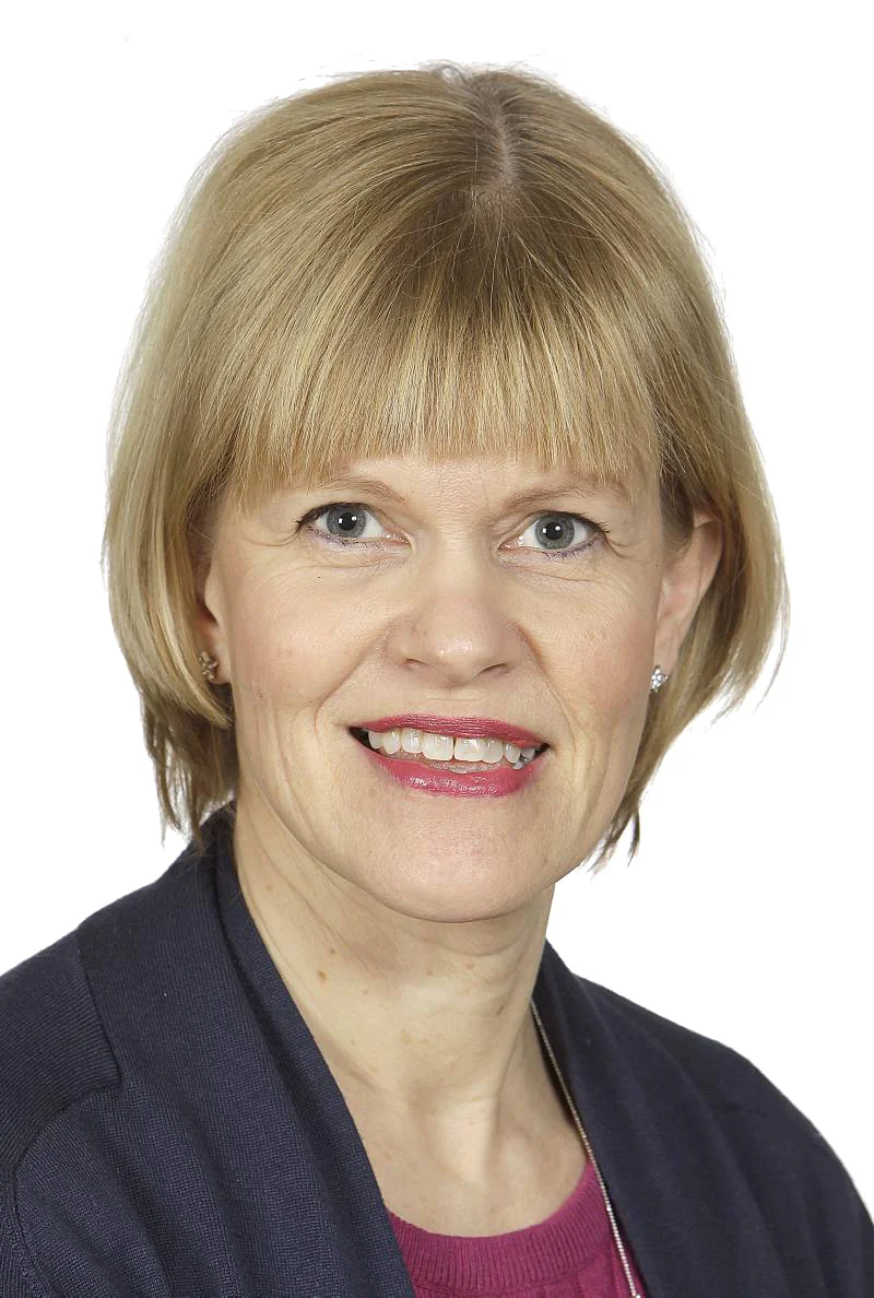 Tiina Huvio, ohjelmajohtaja