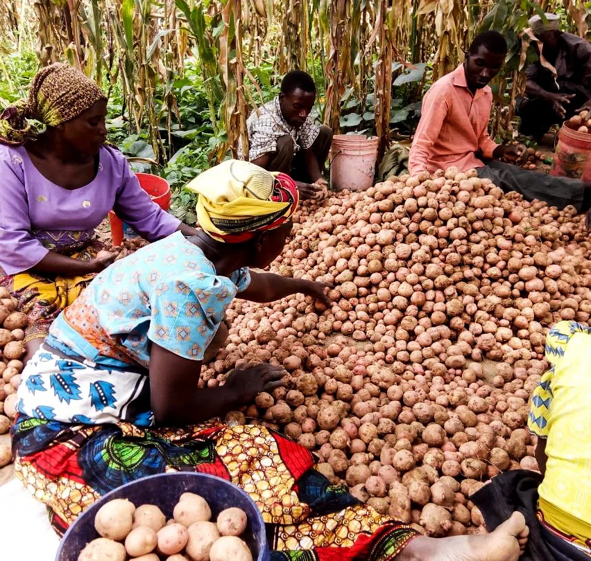 Tanzania story picture.jpg