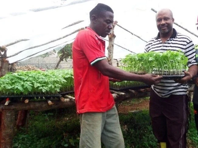 Dr. Omar Mohamed Suleiman, 50 year old (on the right) in his seedling nursery after engaging in Horticulture farming practices and innovative technologies as a TAHA Member.
