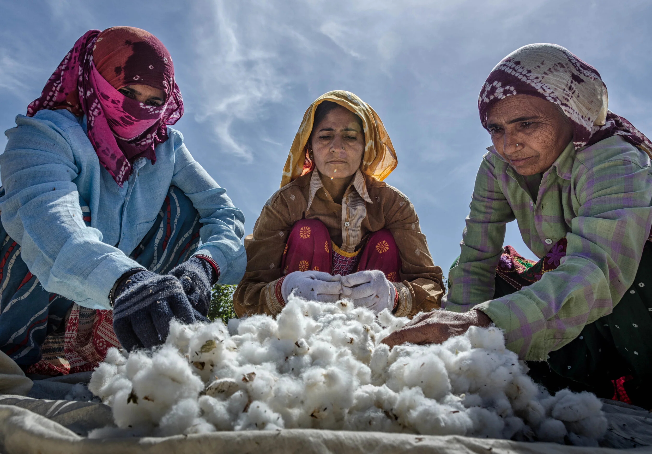 India_Cotton_Farmers.jpg