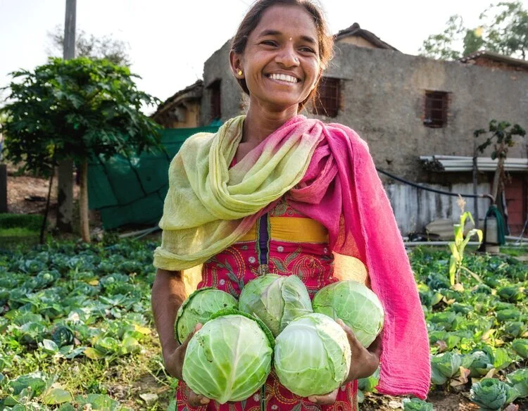 India_Vegetable_Farmer.jpg