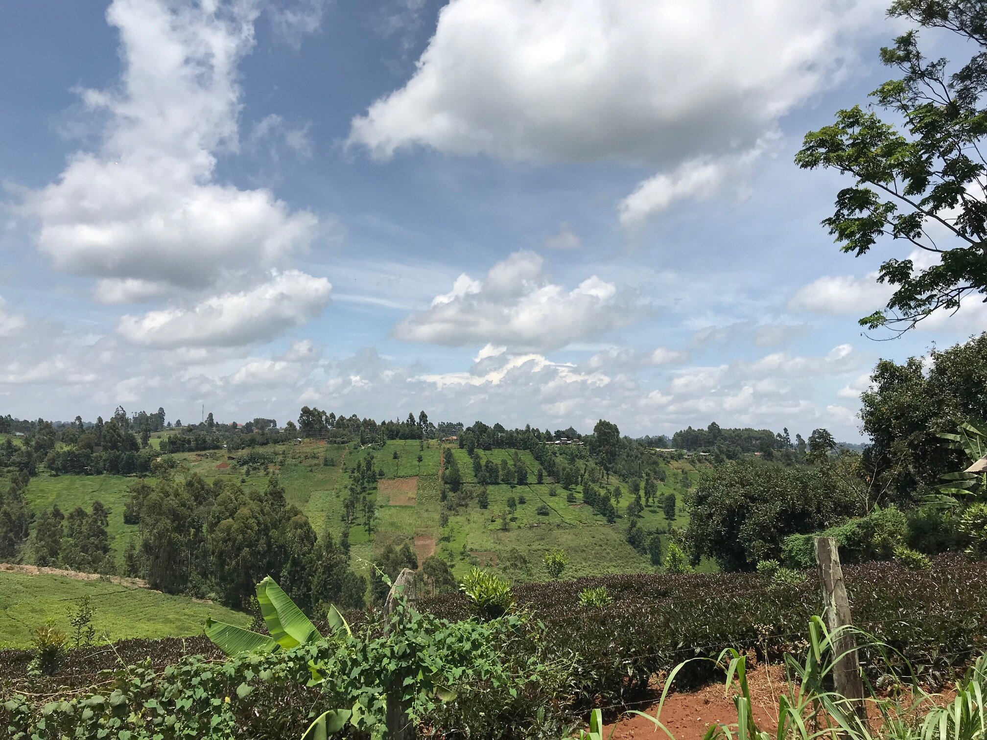 kenya2020-1.jpg