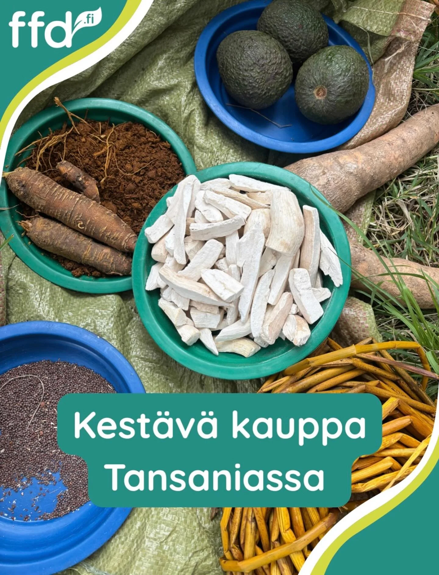 Viime viikolla osallistuimme AgriCordin webinaariin, jossa k&auml;siteltiin kest&auml;v&auml;n kaupan vaatimusten vaikutuksia viljelij&ouml;iden ja mets&auml;tuottajien markkinoille p&auml;&auml;syyn. 

SENSOR-hankkeemme (Strengthening small-holders&