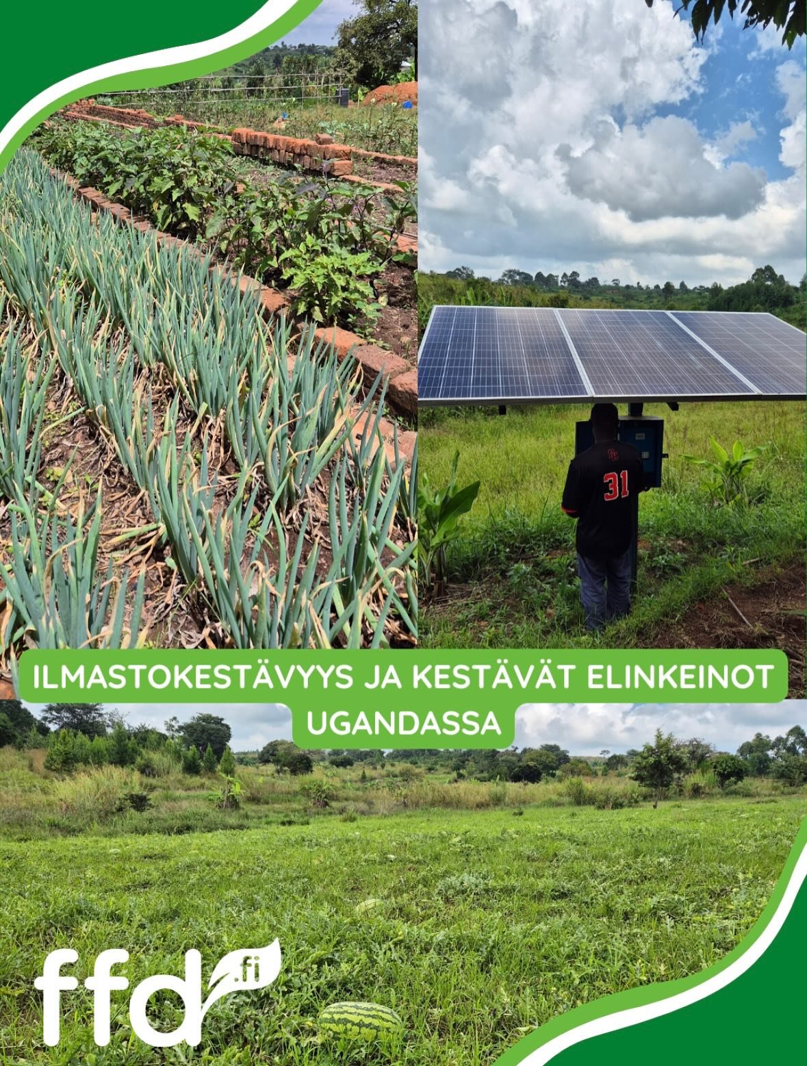 Viime viikolla sukelsimme Ugandan Ilmastokest&auml;vyys ja kest&auml;v&auml;t elinkeinot -hankkeessa kolmen vuoden aikana saavutettuihin tuloksiin!

Olemme edenneet hienosti kohti hankkeen tavoitetta ilmastokest&auml;vyyden lis&auml;&auml;miseksi Zom