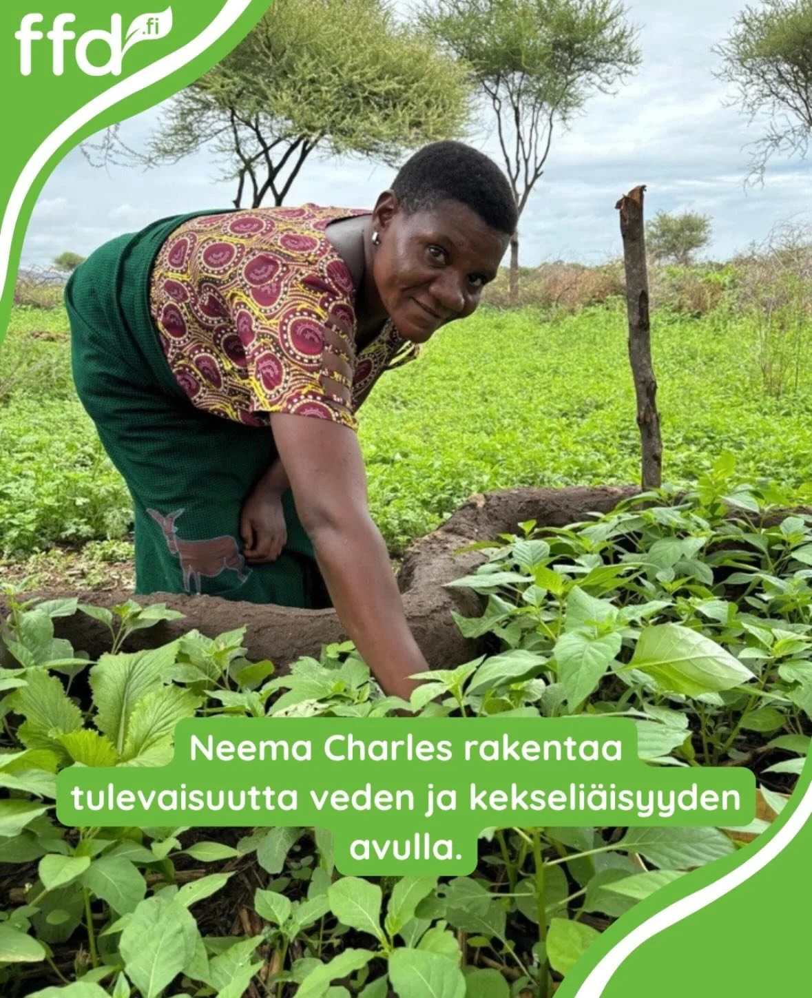 Maasai-yhteis&ouml;ss&auml; Tansaniassa sadevesi on elint&auml;rke&auml; voimavara. 

Greener Tanzania -hankkeen sadevesitankit ovat muuttaneet arkea: katolta ker&auml;tty vesi johdetaan 5000 litran s&auml;ili&ouml;&ouml;n, josta sit&auml; riitt&auml