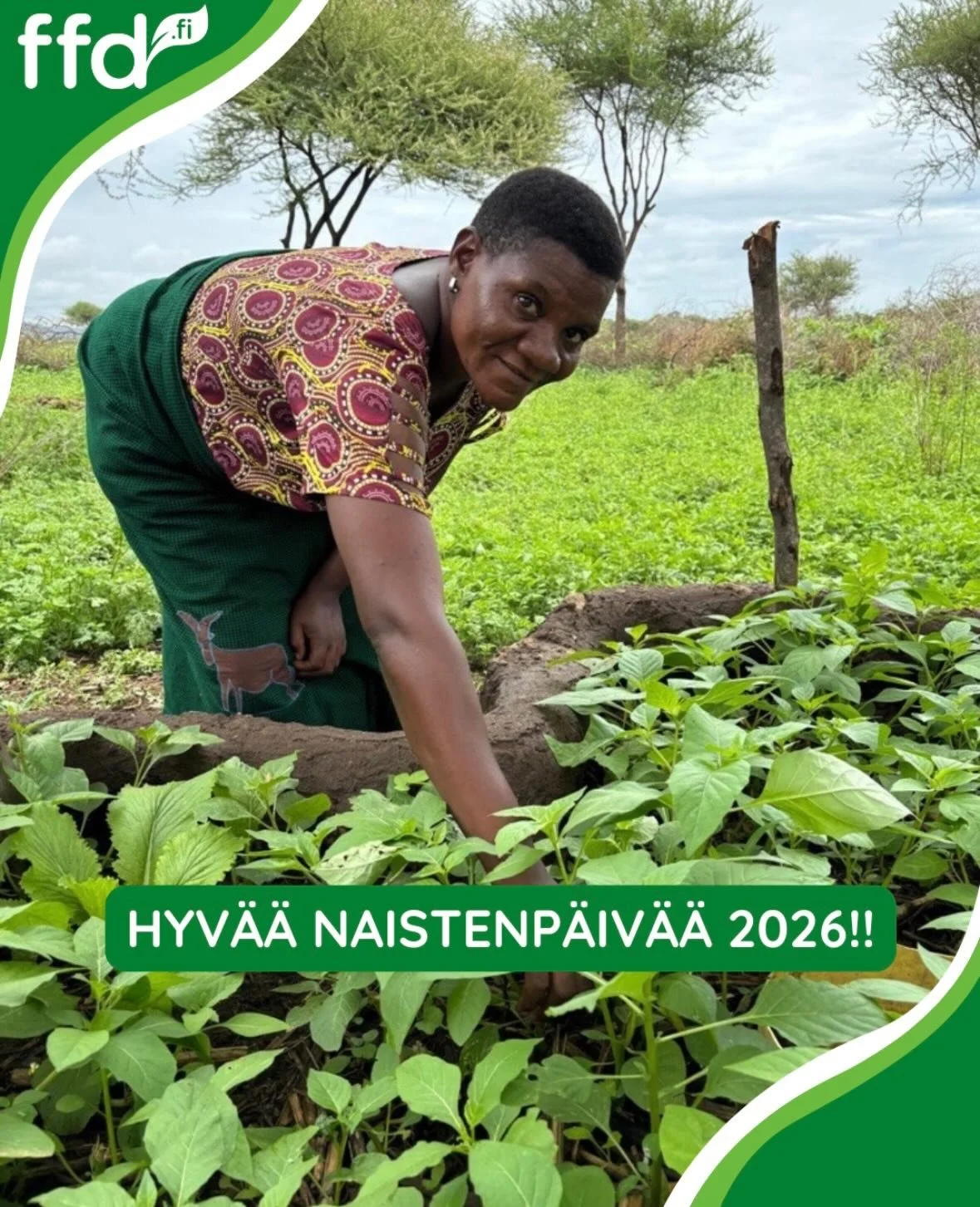 Tiesitk&ouml;, ett&auml; maaseudun naiset tuottavat yli puolet maailman ruoasta? Silti heill&auml; on k&auml;yt&ouml;ss&auml;&auml;n vain pieni osa resursseista, joilla ruokaturvaa parannetaan ymp&auml;ri maailmaa.

Naistenp&auml;iv&auml;&auml; viete