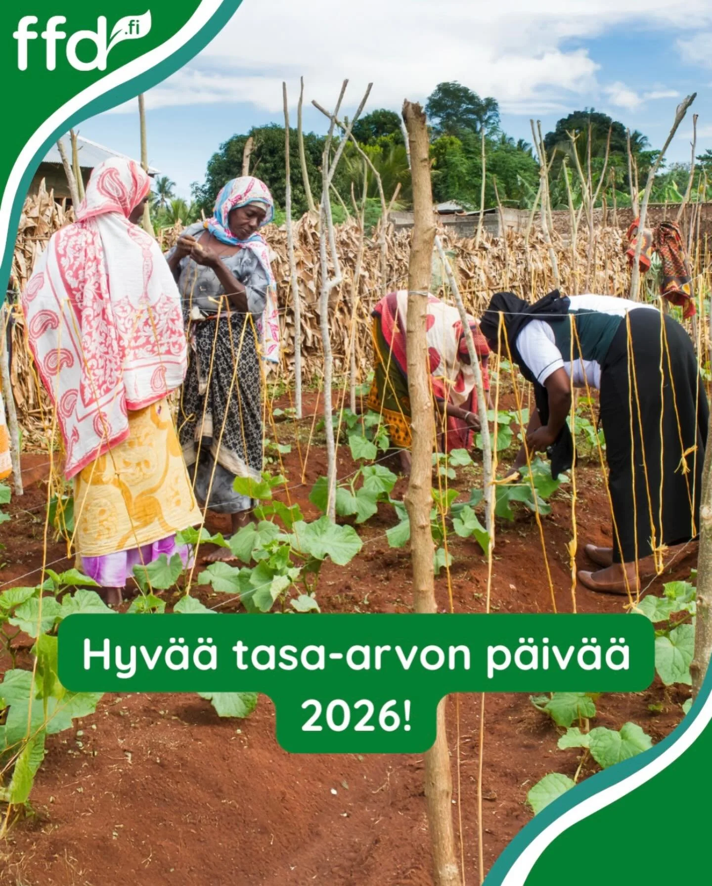 Tasa-arvon p&auml;iv&auml; muistuttaa, ett&auml; yhdenvertaisuus rakentuu arjen teoissa &ndash; my&ouml;s siell&auml;, miss&auml; olosuhteet ovat haastavimmat. 

Ty&ouml;mme tukee pienviljelij&ouml;iden oikeuksia ja vahvistaa tuottajaj&auml;rjest&oum