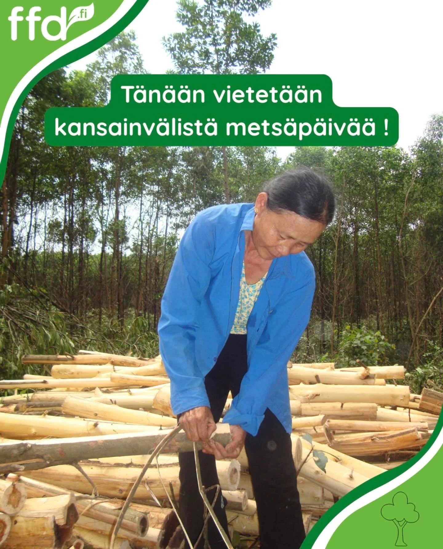 FFD tekee ty&ouml;t&auml; maailman metsien ja metsist&auml; riippuvaisten yhteis&ouml;jen puolesta.

Tuemme mets&auml;alan osaamista ja kest&auml;vien mets&auml;hankkeiden kehitt&auml;mist&auml; kehittyviss&auml; maissa &ndash; vahvistaen paikallisia