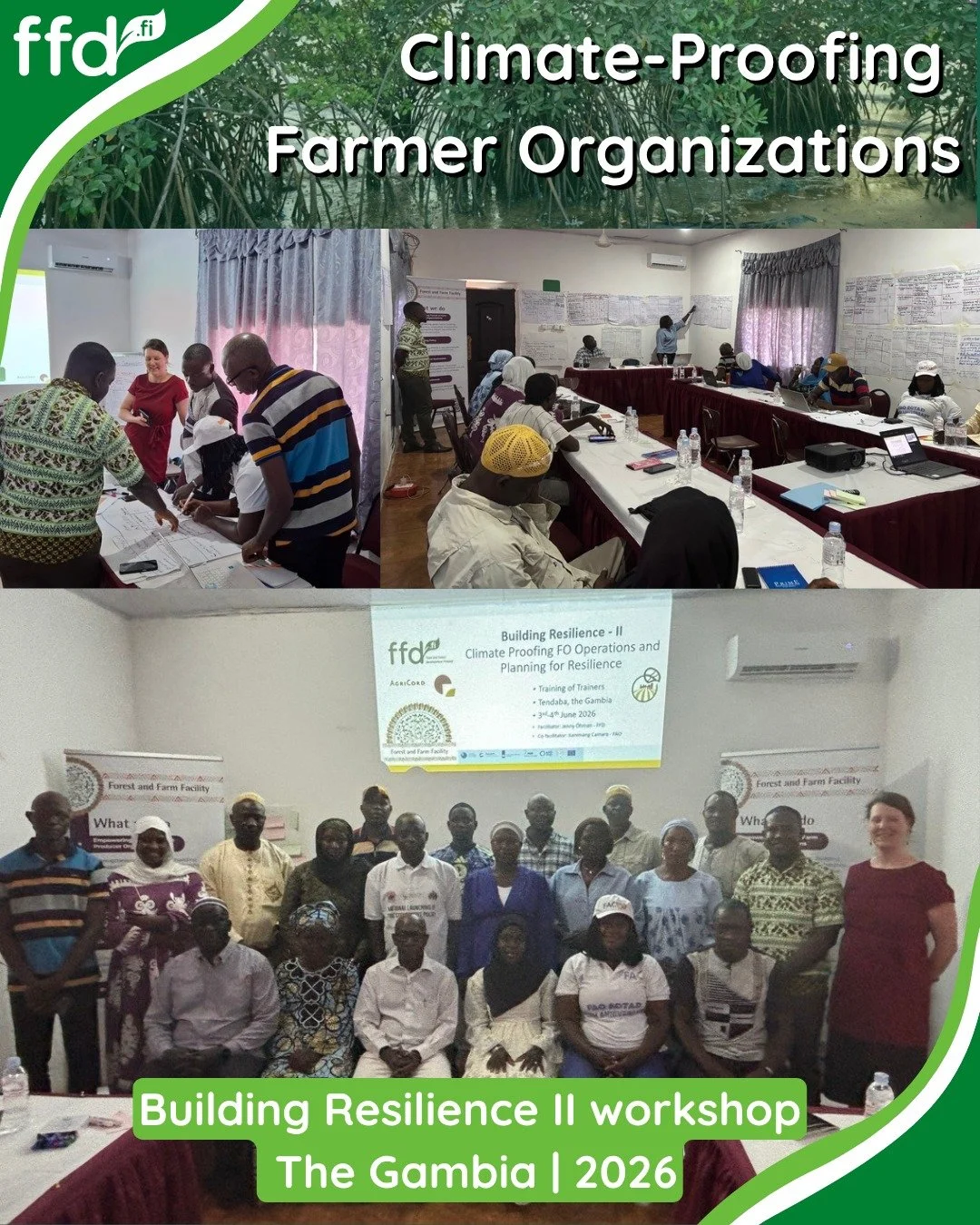 Ilmastokest&auml;vyytt&auml; viljelij&ouml;iden ja mets&auml;tuottajien j&auml;rjest&ouml;ihin Gambiassa 🌍

FFD toteutti yhdess&auml; AgriCordin ja FAO:n Forest and Farm Facilityn kanssa Building Resilience II (BR-II) -koulutuksen Gambiassa. Koulutu