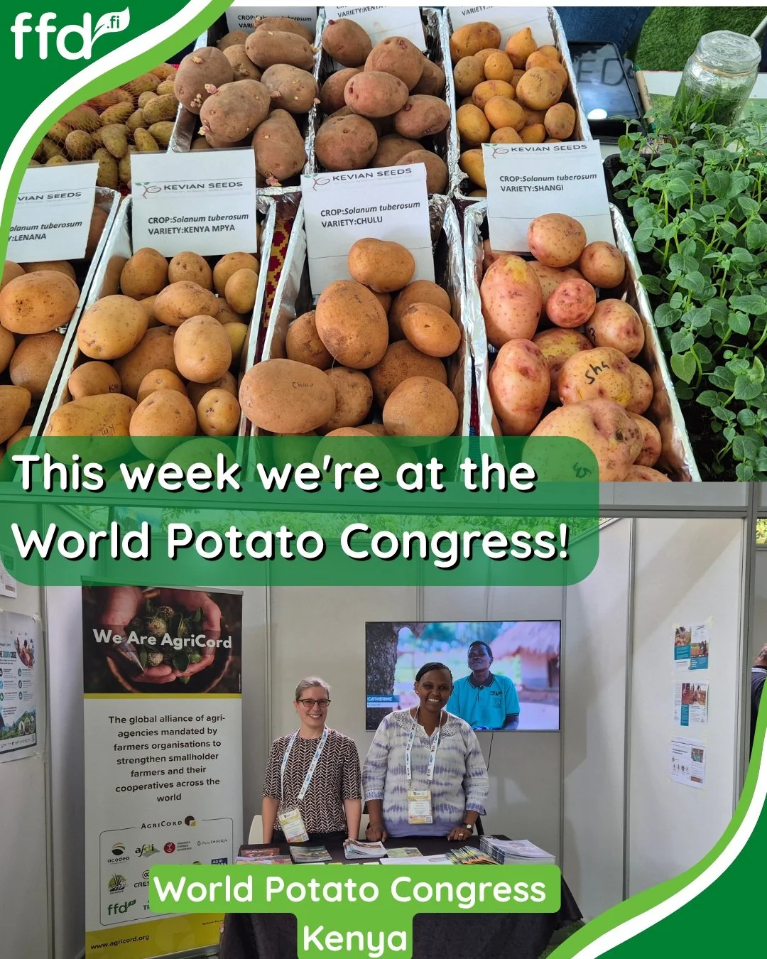 🥔 Joskus on ment&auml;v&auml; kauas n&auml;hd&auml;kseen l&auml;helle.

FFD on t&auml;ll&auml; viikolla mukana World Potato Congressissa Keniassa yhdess&auml; AgriCordin ja sisarj&auml;rjest&ouml;mme sek&auml; kumppanimme NADOn kanssa.

Kohtaamiset 