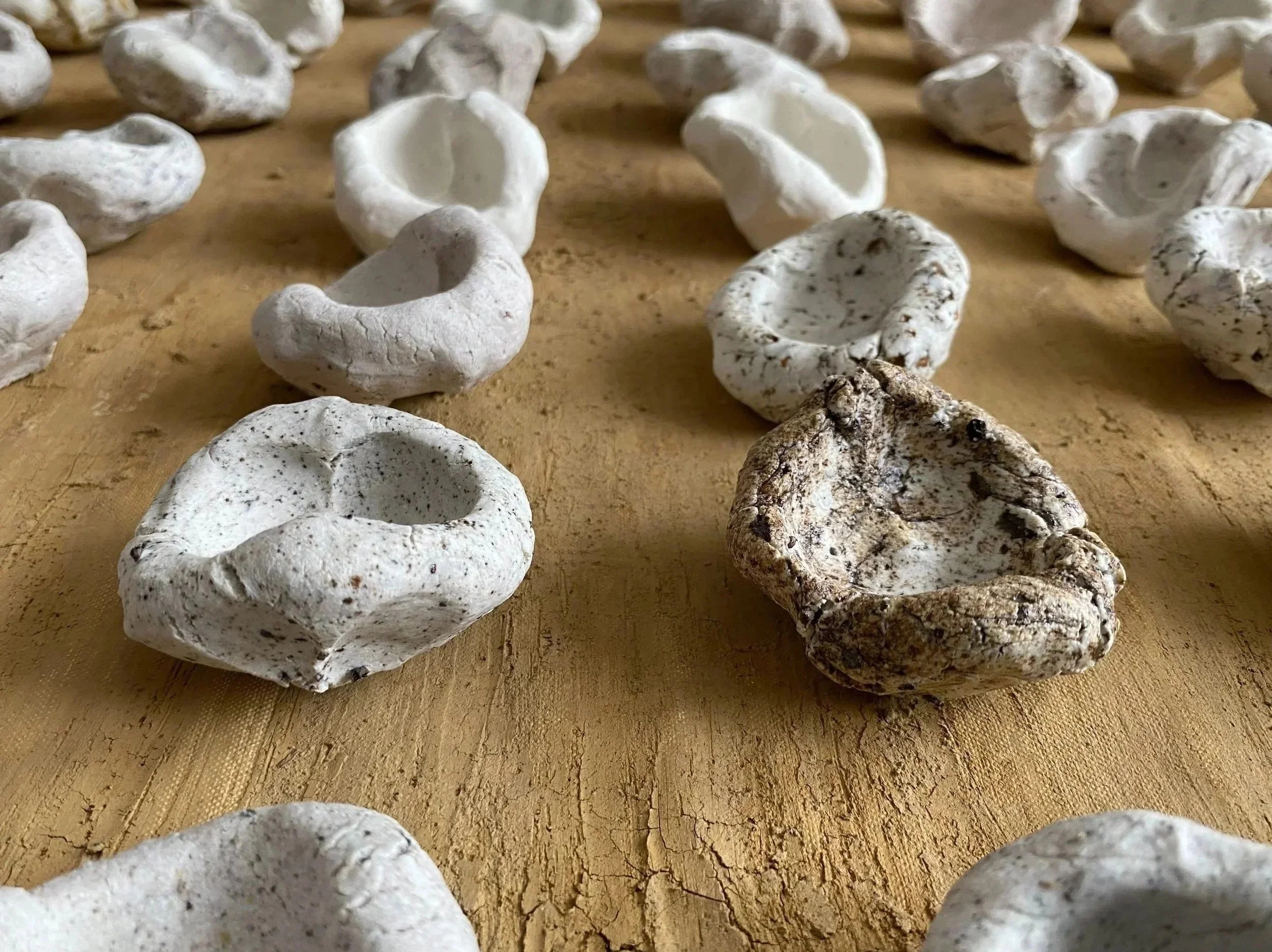 Soil Library - Somerset House 