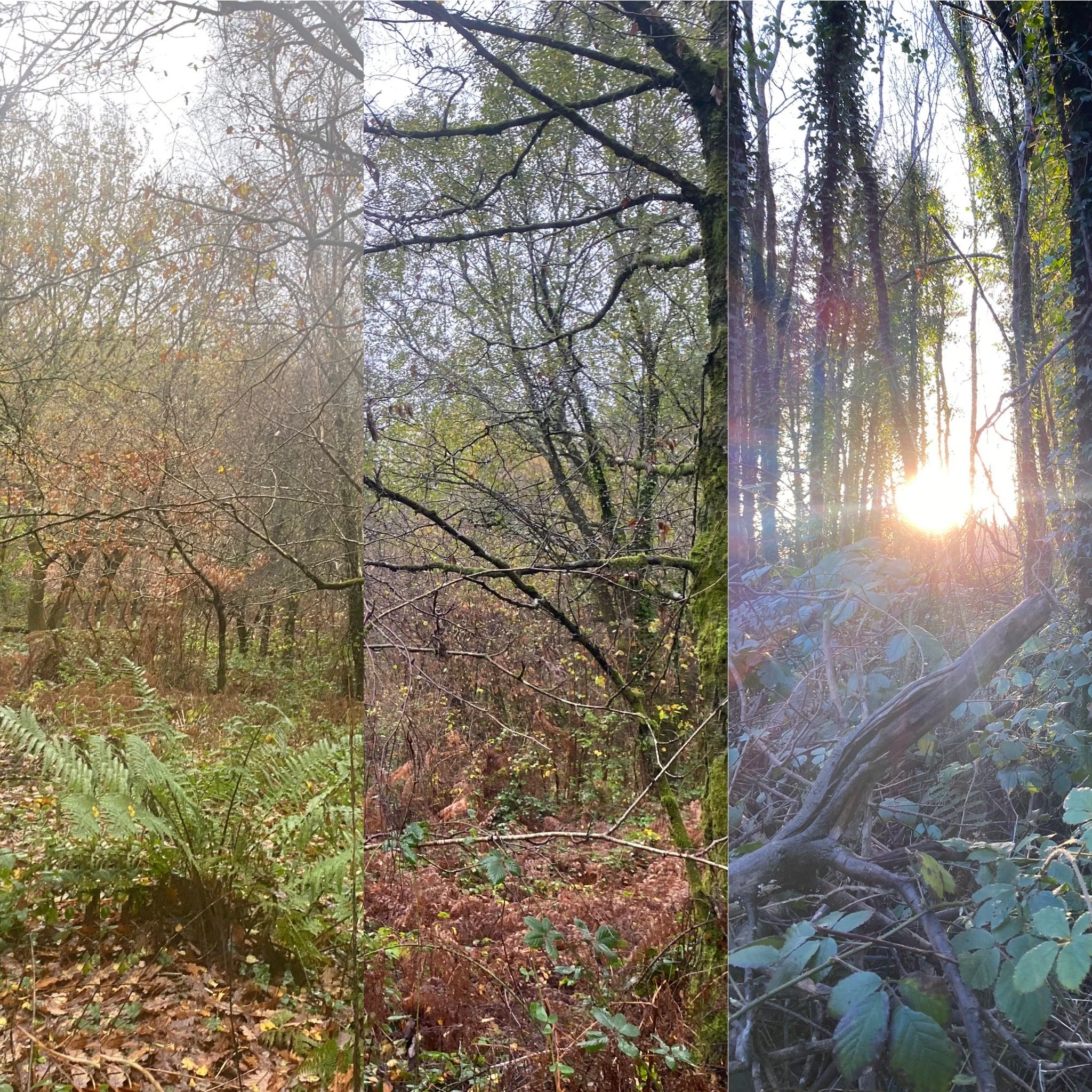 Crwydro/Wanderings: Detours and Digressions 