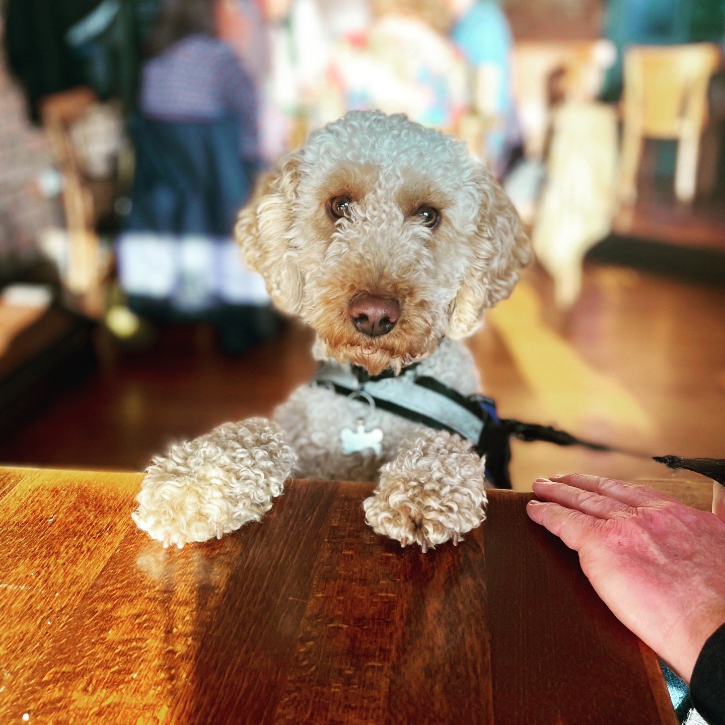 Well it&rsquo;s only a bloody bank holiday guys 💘

As usual, we've got live music Friday and Saturday from 9pm, Sunday roast 12-6pm, the weekly quiz every Sunday from 7.30pm (booking essential), and of course, good girls and boys are very welcome. C