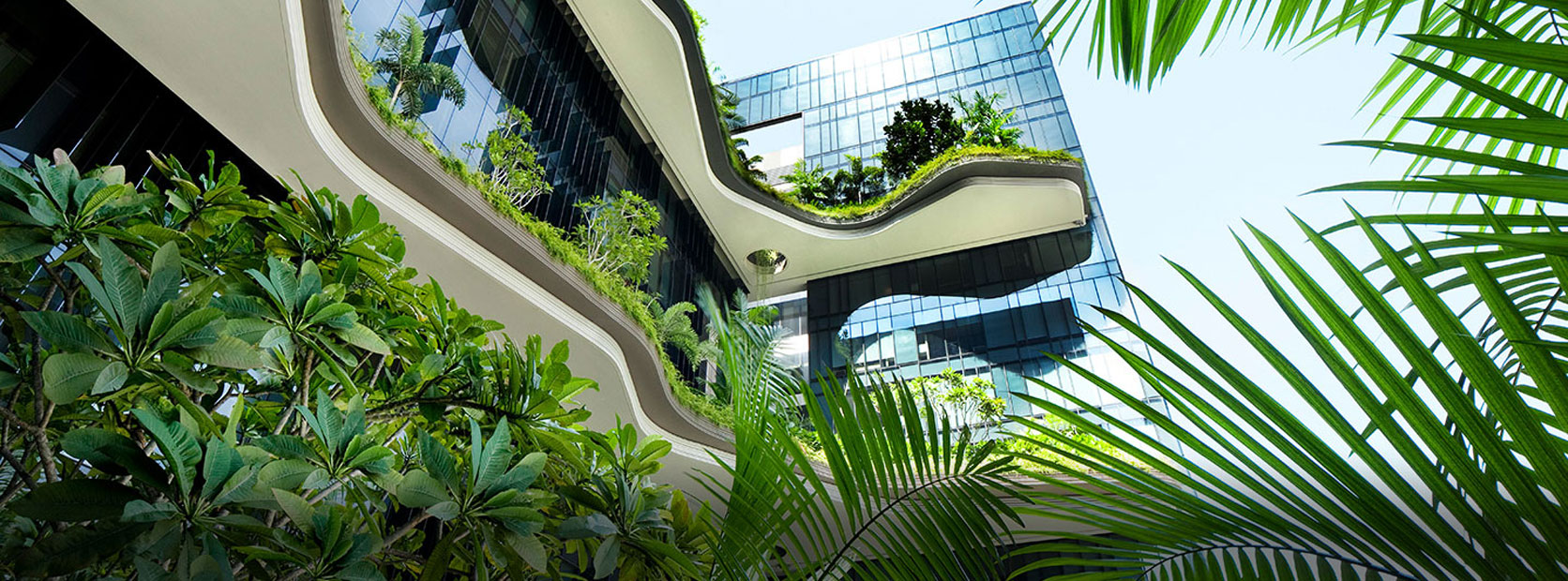 PARKROYAL-Landscape-View.jpg