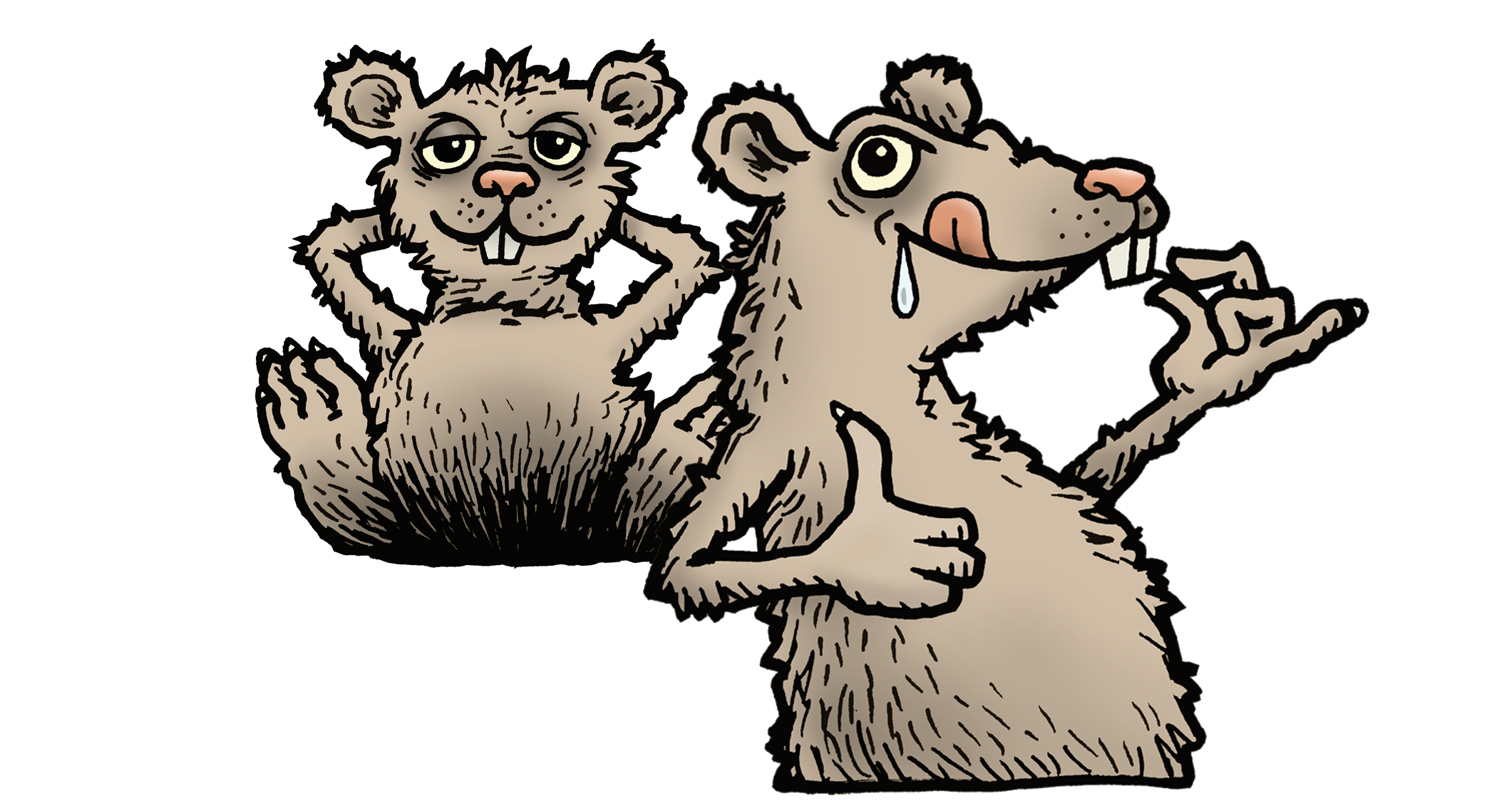 Råttor.png