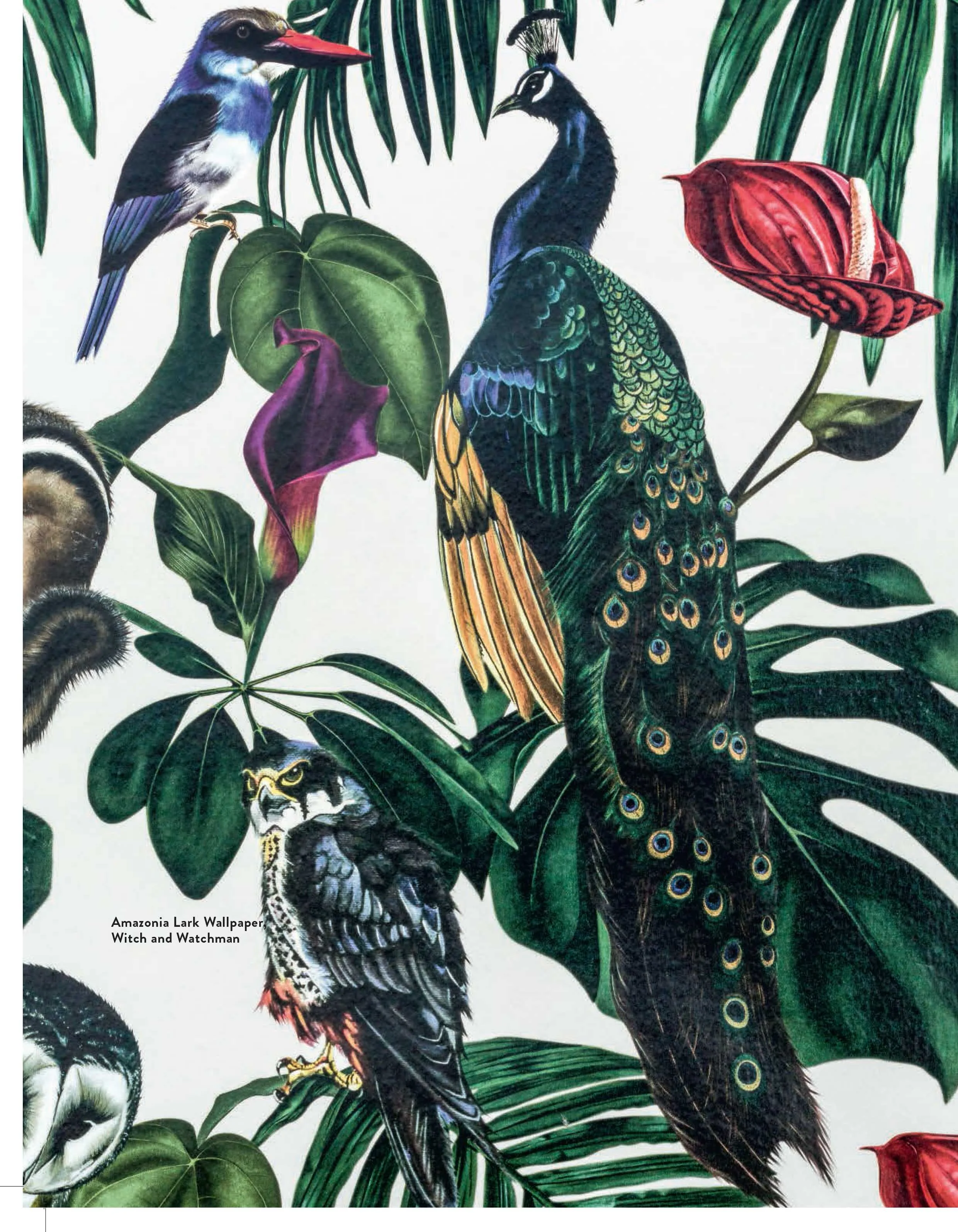 ALLDECOR - 6611.jpeg