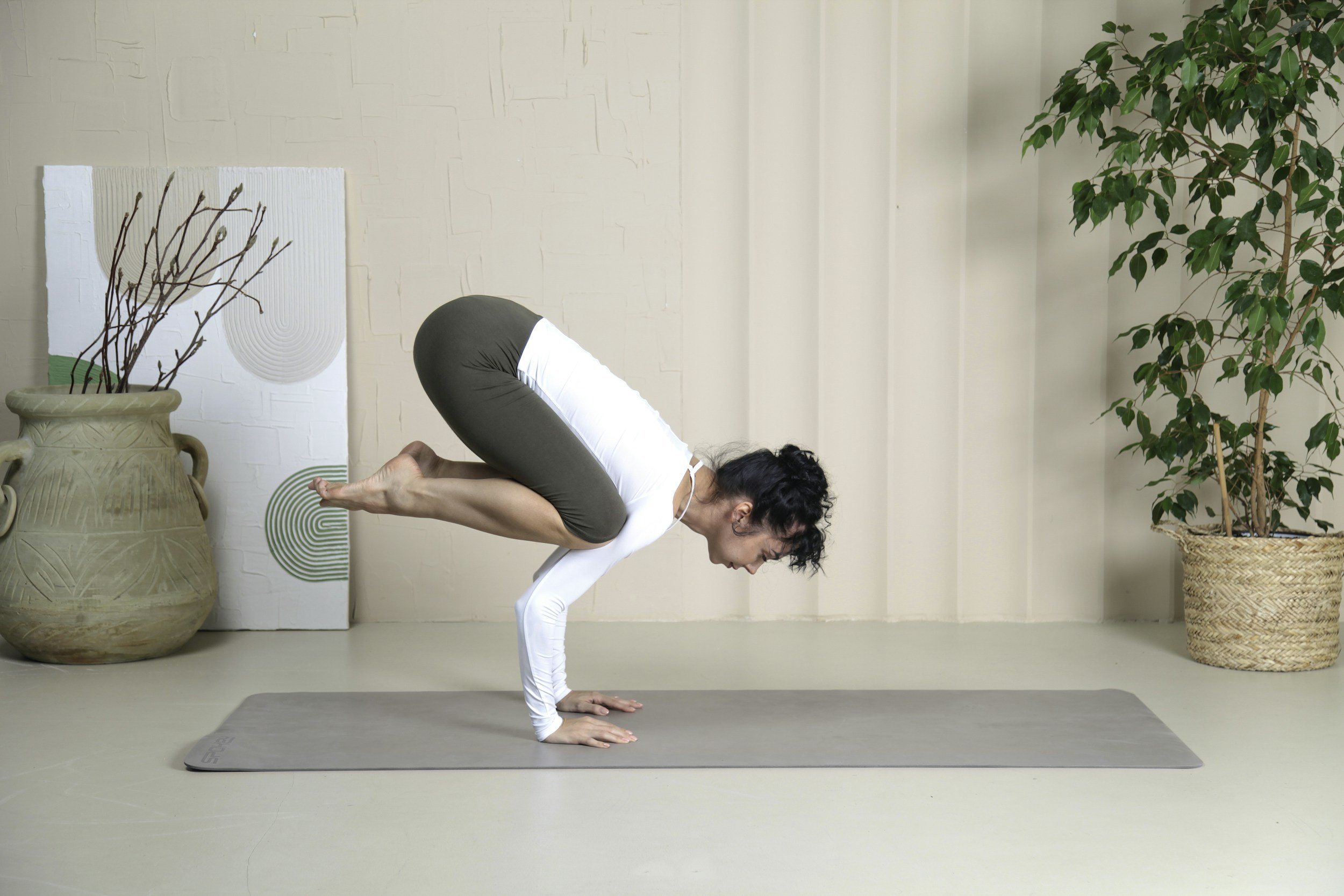 Crow Curious? Learn the Foundations of Crow Pose