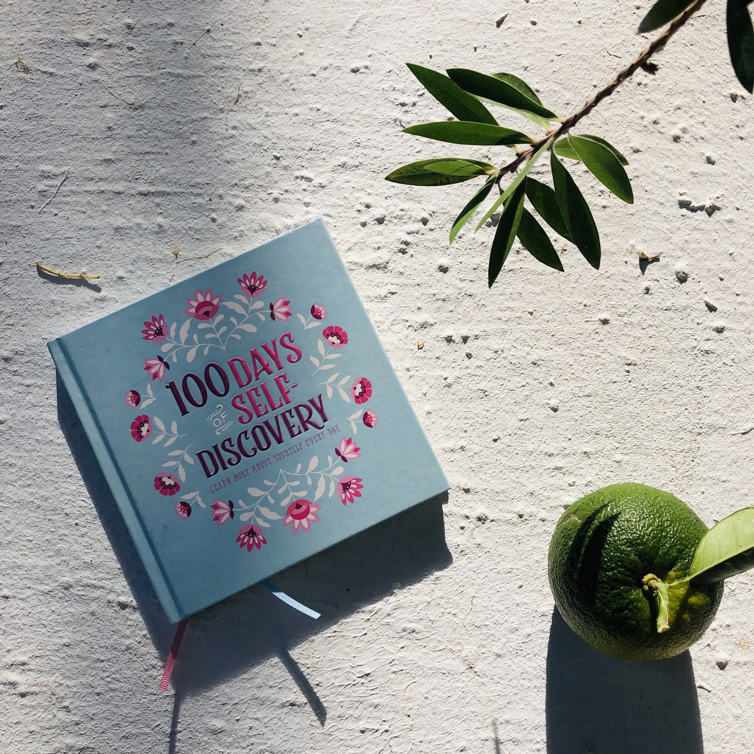 Inspired by Dolly Parton, expanded by Lacy Phillips and saying 'F**K No