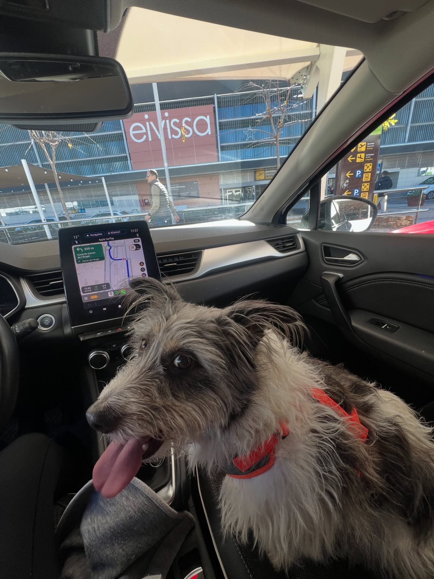 This first snap might look like (another) goofy picture of Mylo in the car. But this is actually a &lsquo;vision board come to life moment&rsquo; for me as Mylo and I collected Mr Shelf Help from Ibiza airport earlier this week. 

This whole Ibiza tr