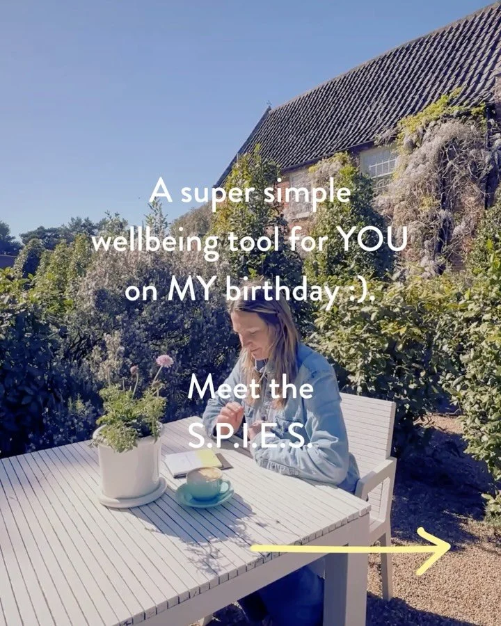 Happy birthday to me!

And an introduction to the S.P.I.E.S. wellbeing check-in for you.

This is one of my favorite self-help tools to share, and you don&rsquo;t need to wait until your birthday to check in with your Self.

How&rsquo;s your Social, 