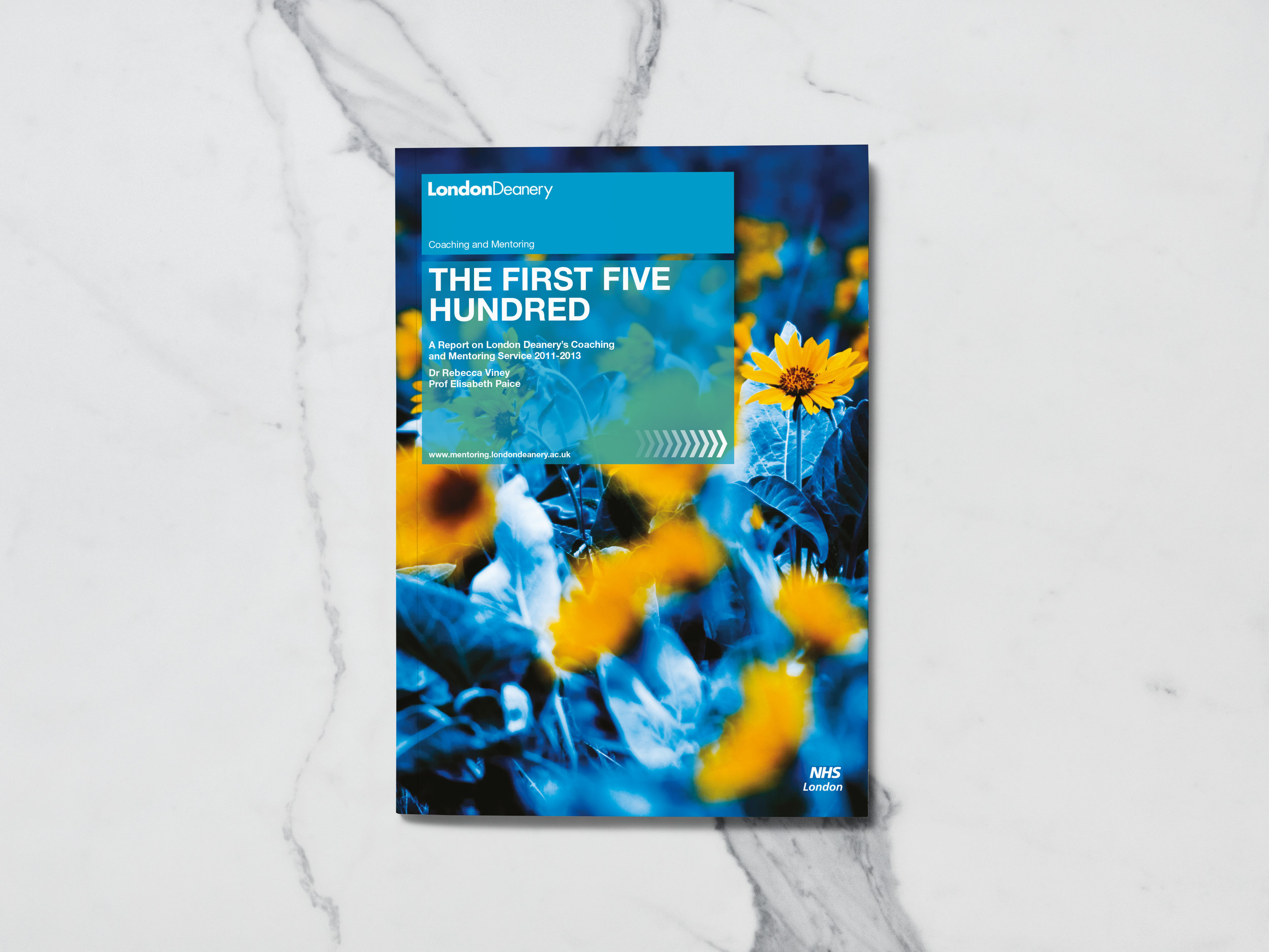 NHS-MENTORING-cover.jpg