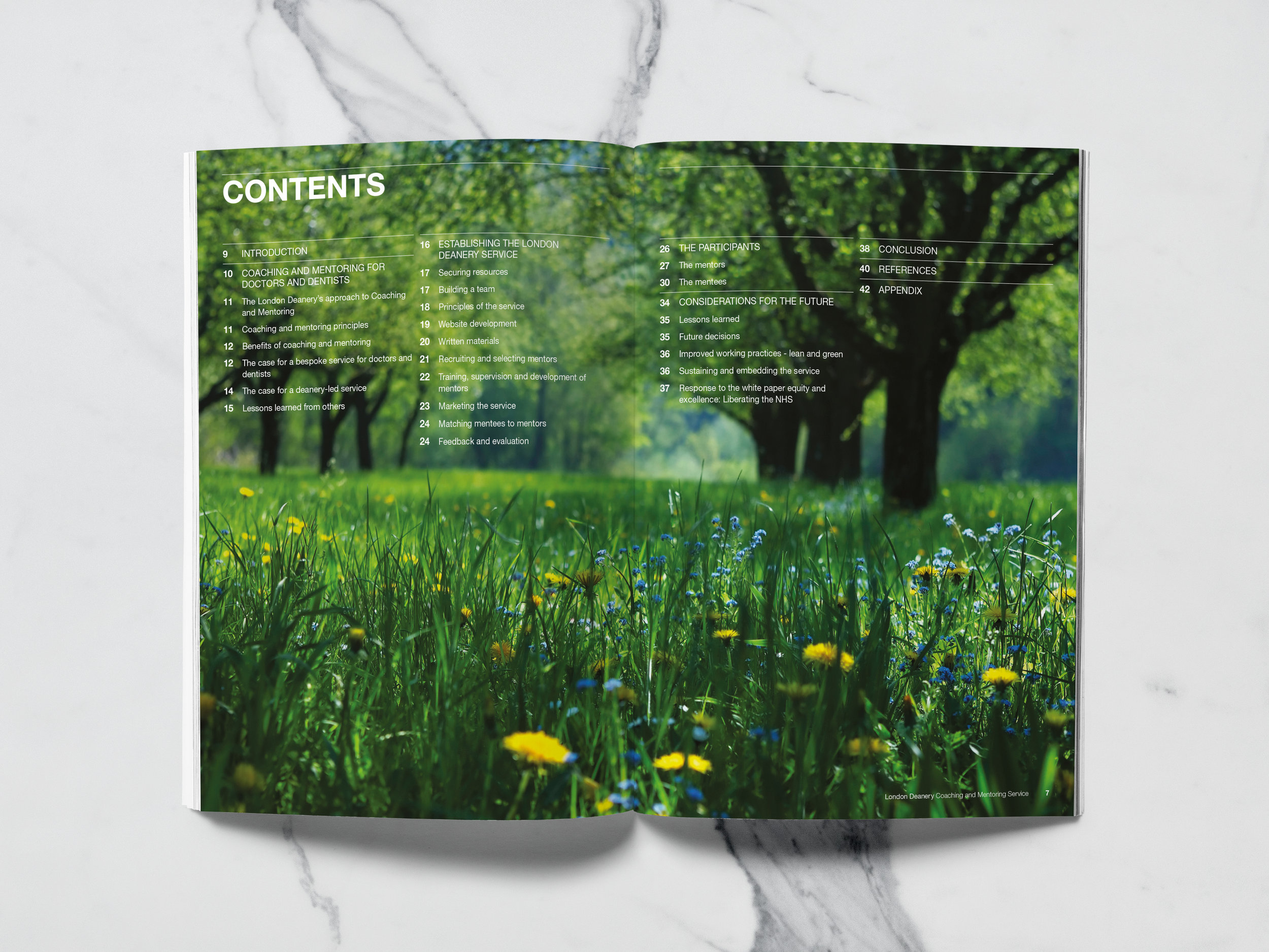 MENTORING-contents.jpg