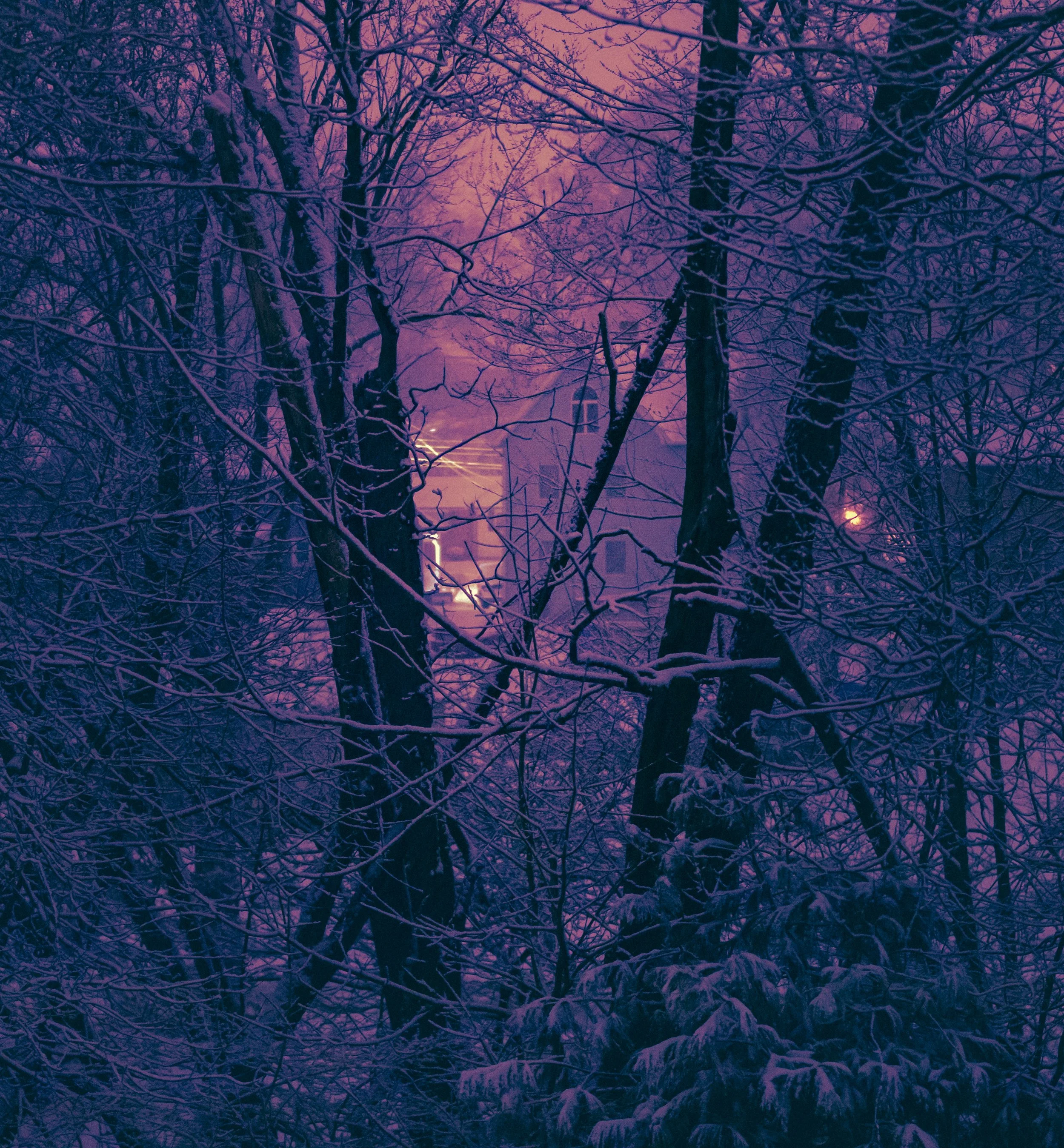 SNOW 003