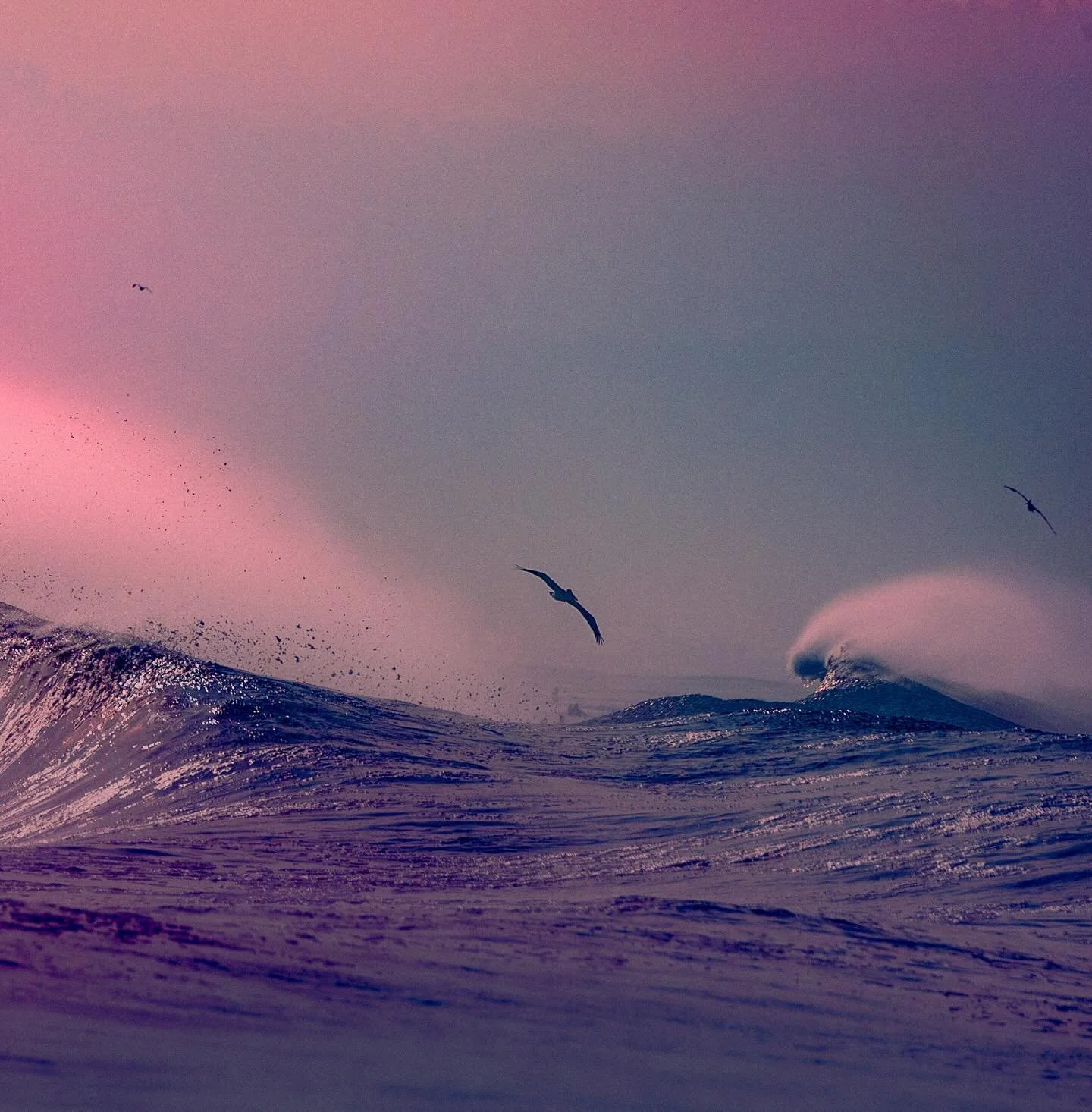 APEX TRIPLET 001
_
_

#minimalism #seagull #moodylight #nextwaveco #waveoftheday #theperfectwave #surfersjournal #lightroom #1x #surferworld #surfphotography #surfersjournal #portraitphotography #surf #gameoftones #canonphotography #ocean #mediumshot