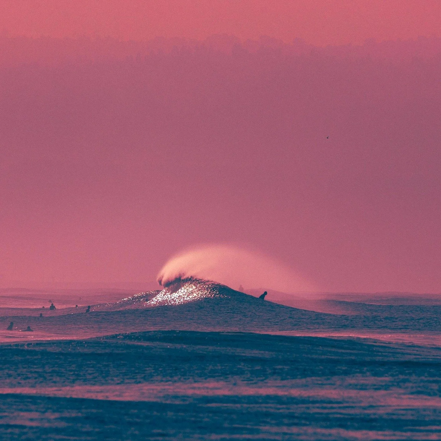BRIGHT FACE 001
-
-
#canonusa #canonlandscapephotography #surfing_dailys #seemanagement #surfunique #artofvisuals #moodylight #surfporn #nextwaveco #waveoftheday #theperfectwave #surfersjournal #lightroom #1x #surferworld #surfphotography #surfersjou