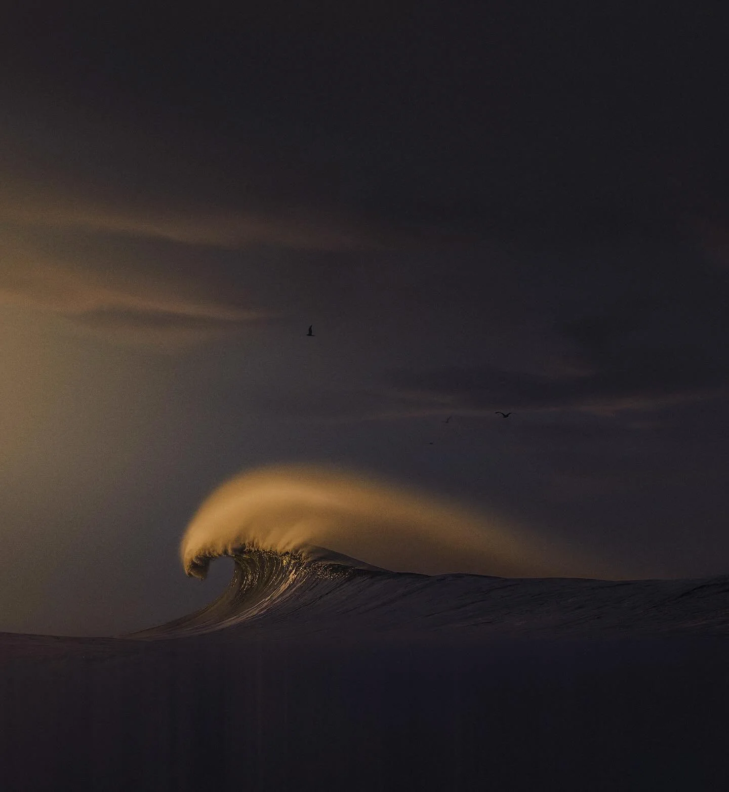 FORTUNE 001a
...
A volumetric mass spraying an abundant shape. Unique as a snowflake. 

#newwave 
#waveporn 
#theperfectwave 
#1x 
#artclassified 
#bnw_switzerland 
#minimalism
#trappingtones 
#aov 
#gameoftones 
#thesurfersjournal 
#aquatech_imaging