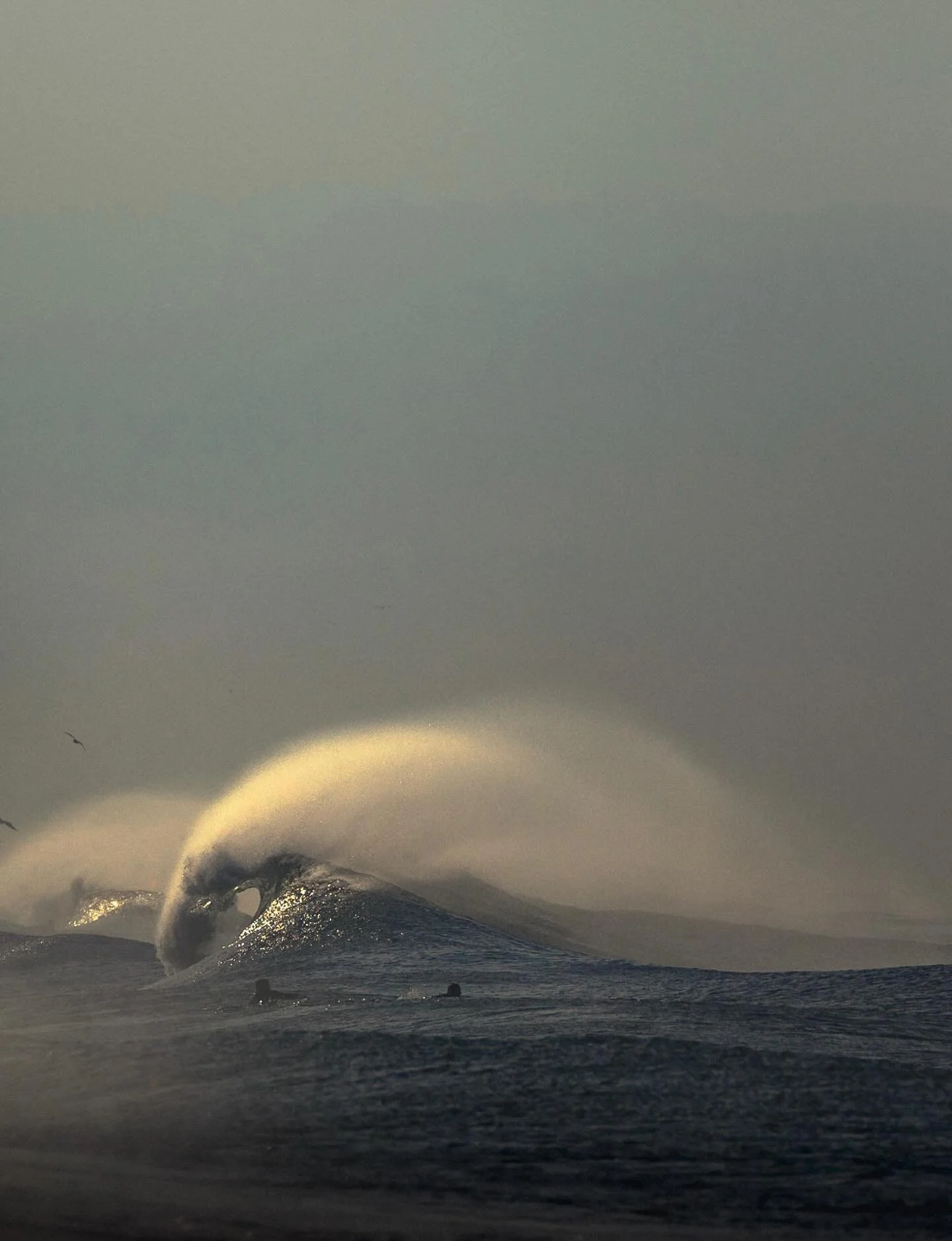 FORTUNE 001a
...
Another volumetric mass flaring out with its unique imprint. 

#newwave 
#waveporn 
#theperfectwave 
#1x 
#artclassified 
#bnw_switzerland 
#minimalism
#trappingtones 
#aov 
#gameoftones 
#thesurfersjournal 
#aquatech_imagingsolution