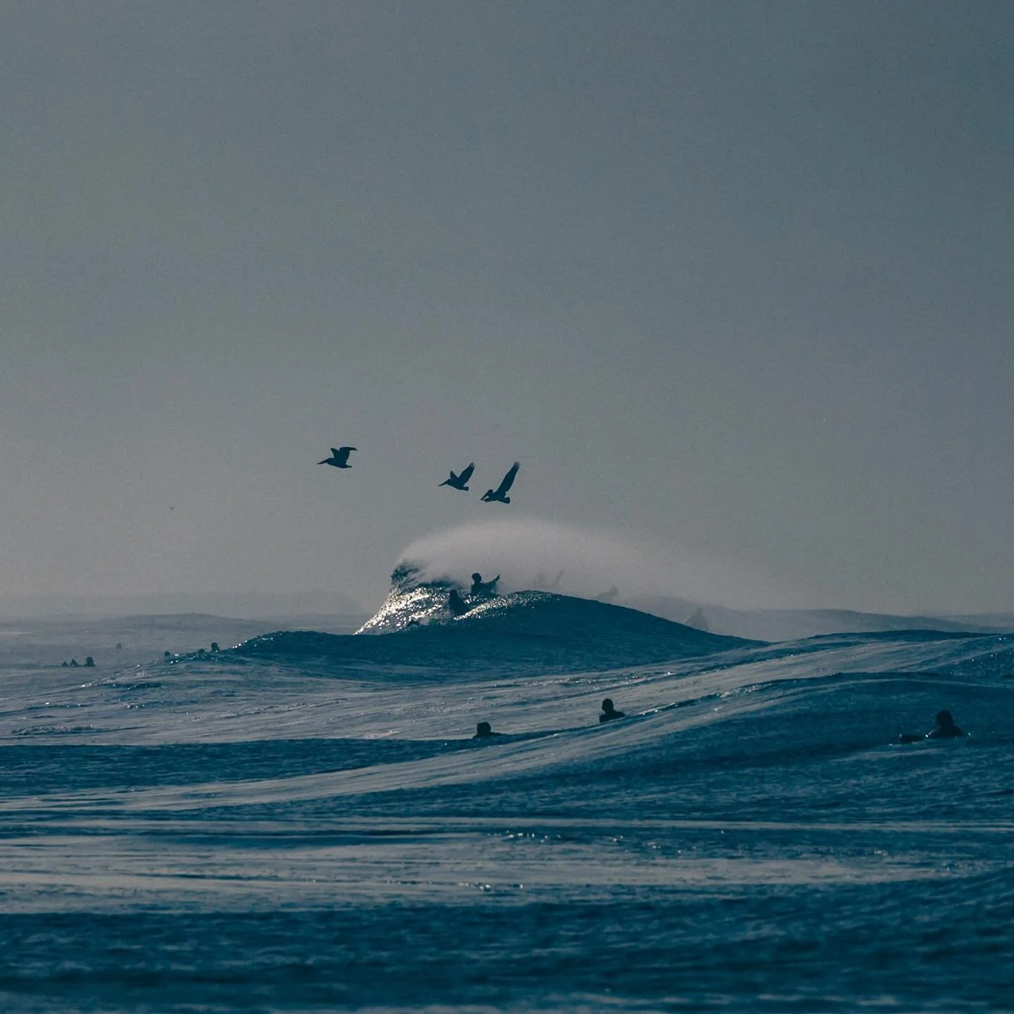 GODFATHER 001
...
Life is precious. I love you Uncle Larry. We will miss you. 

#newwave 
#waveporn 
#theperfectwave 
#1x 
#artclassified 
#bnw_switzerland 
#minimalism
#trappingtones 
#aov 
#gameoftones 
#thesurfersjournal 
#aquatech_imagingsolution