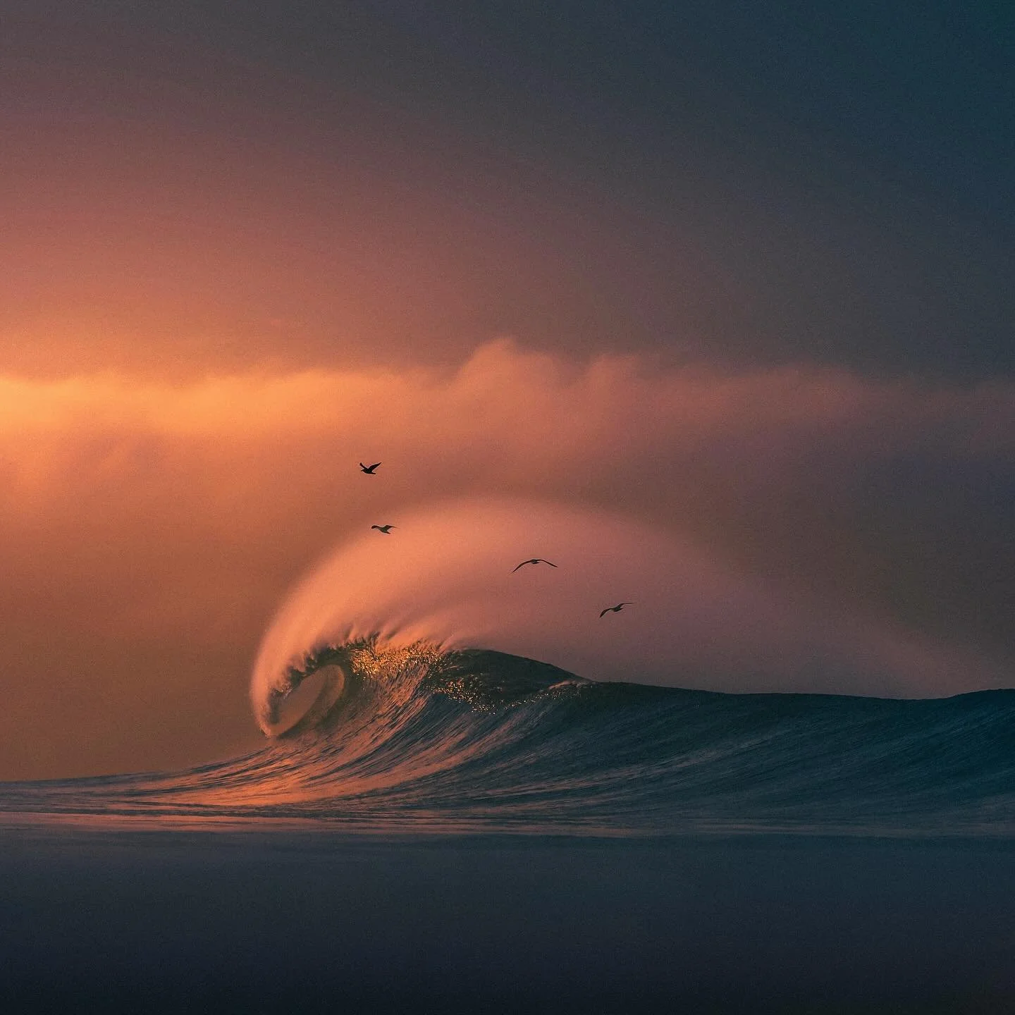 GLYPH 003a
...
A warm haircut with bird creatures riding offshore winds. 

#newwave 
#waveporn 
#theperfectwave 
#1x 
#artclassified 
#bnw_switzerland 
#minimalism
#trappingtones 
#aov 
#gameoftones 
#thesurfersjournal 
#aquatech_imagingsolutions 
#c