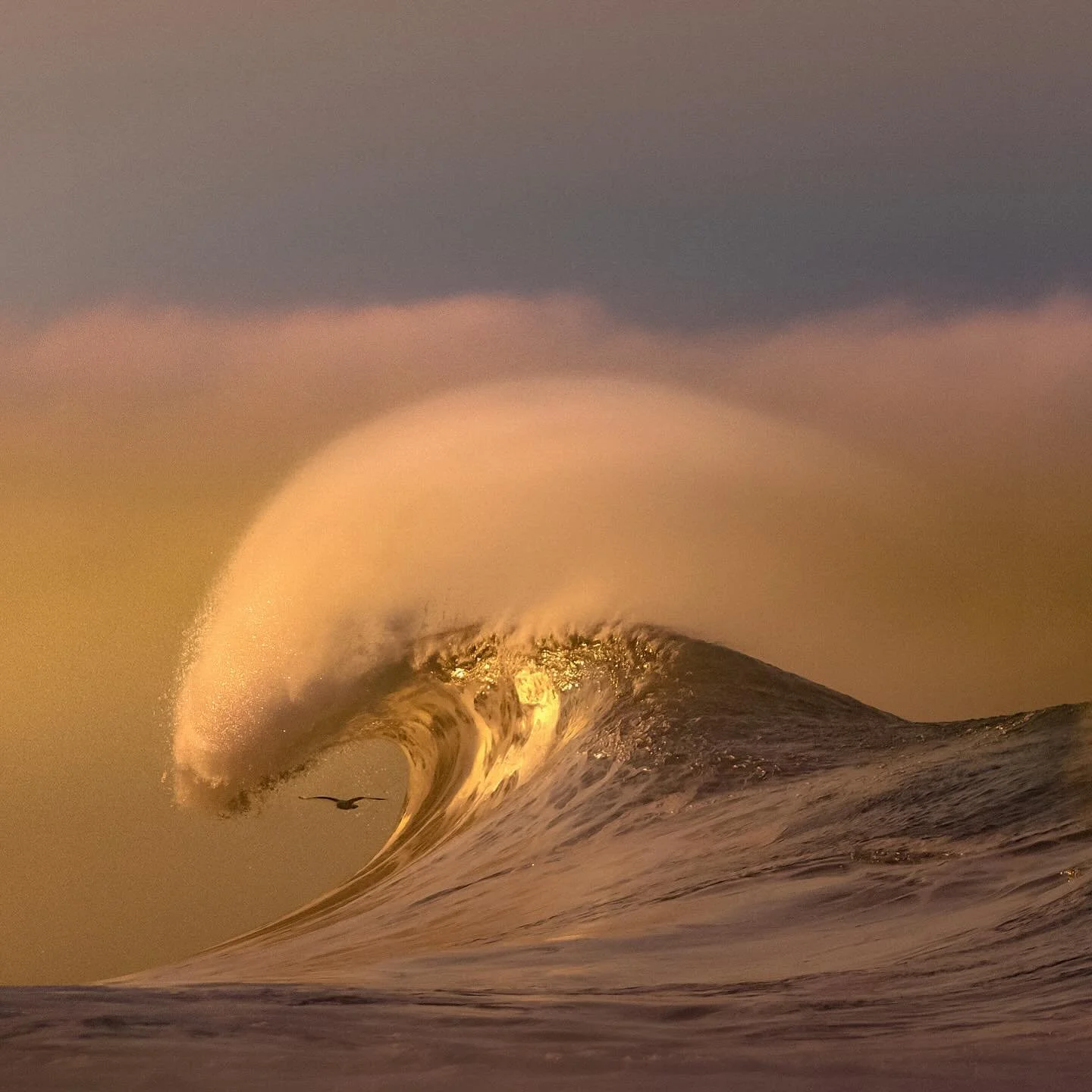 ARCH 003a
...
Bird&rsquo;s bullseye. These winged athletes were on their A game this particular morning. 

#newwave 
#waveporn 
#theperfectwave 
#1x 
#artclassified 
#bnw_switzerland 
#minimalism
#trappingtones 
#aov 
#gameoftones 
#thesurfersjournal