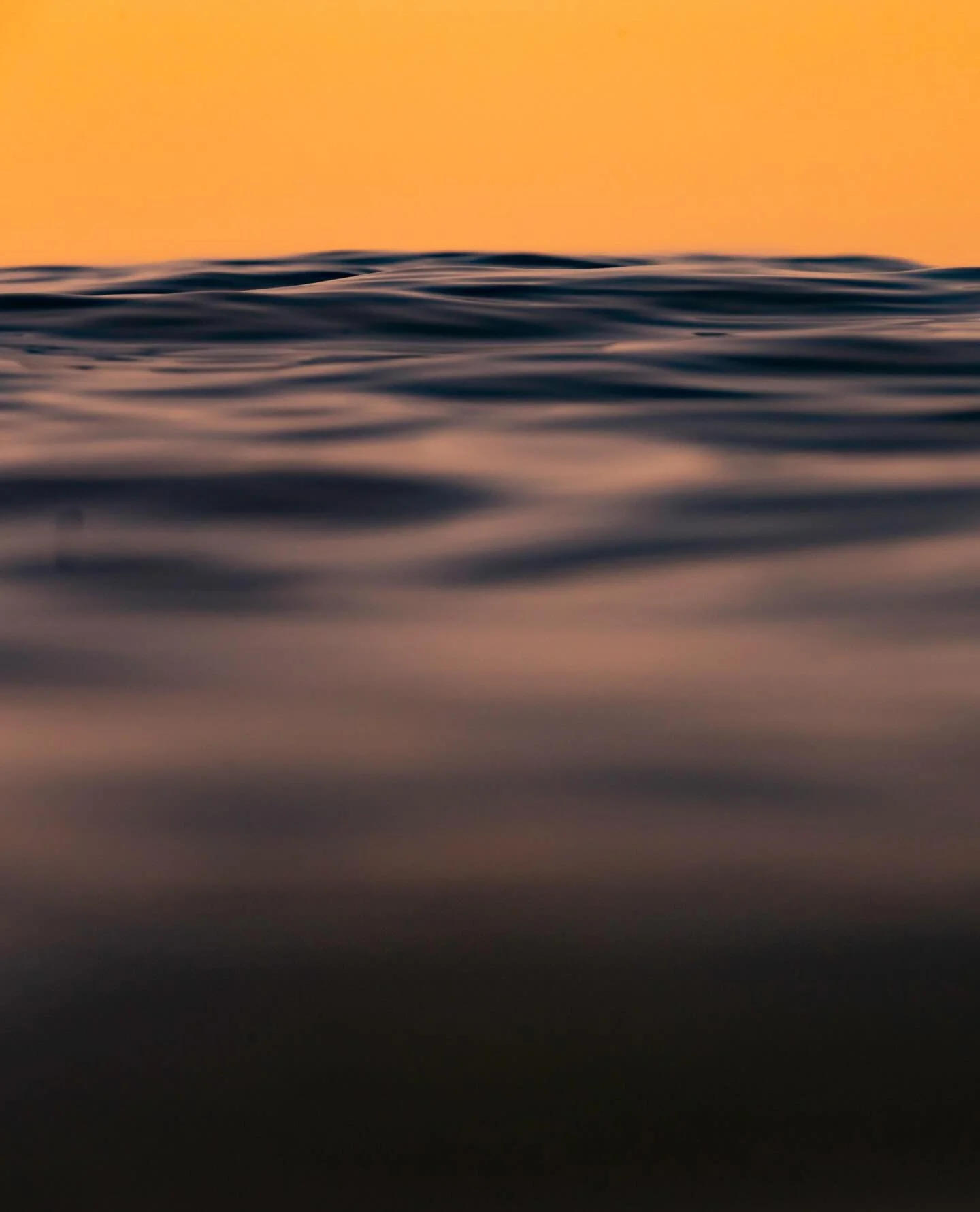 WARM HORIZONTAL 001
...
The first mound of a set rolls sea goers up and down. 

#newwave 
#waveporn 
#theperfectwave 
#1x 
#artclassified 
bnw_switzerland 
minimalism
trappingtones 
aov 
gameoftones 
thesurfersjournal 
aquatech_imagingsolutions 
cano