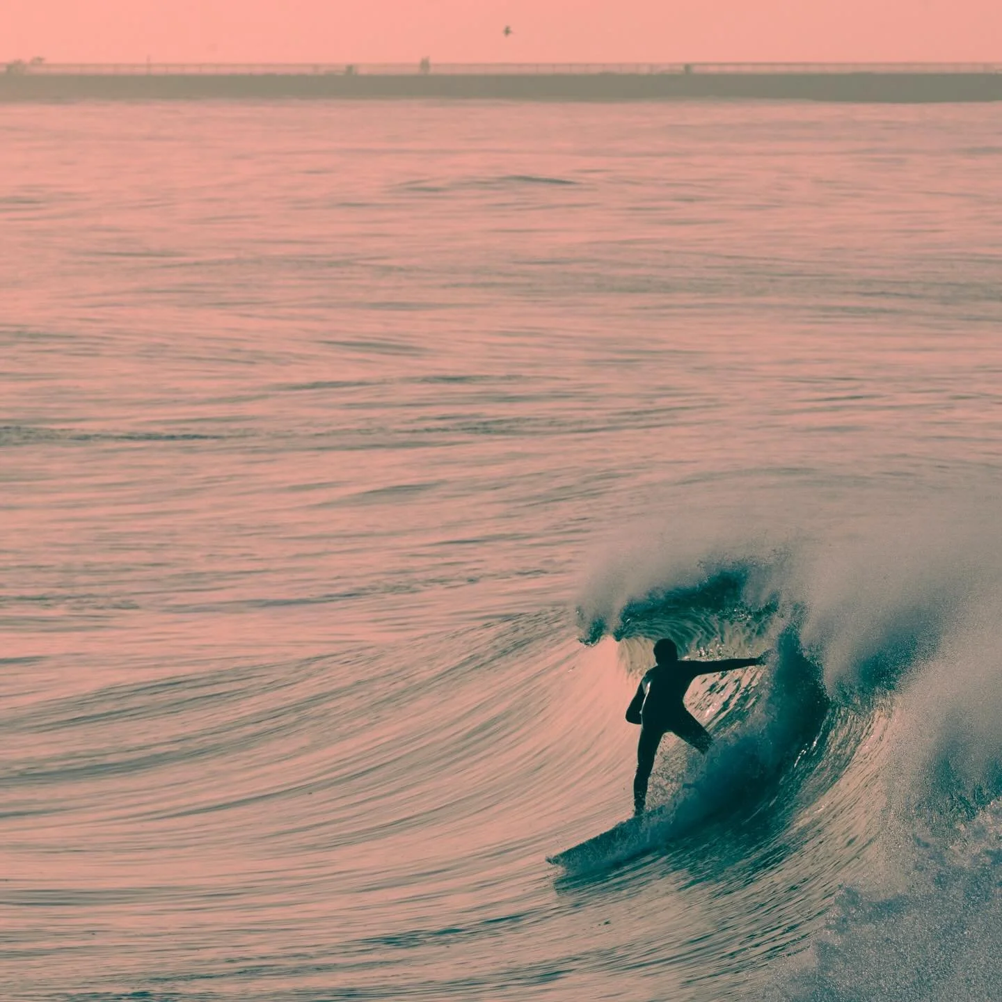 SIDE CUT 001

Shot in November on an abundant morning in Venice beach. 

#wavemasters 
#oc&eacute;an 
#oceanscape