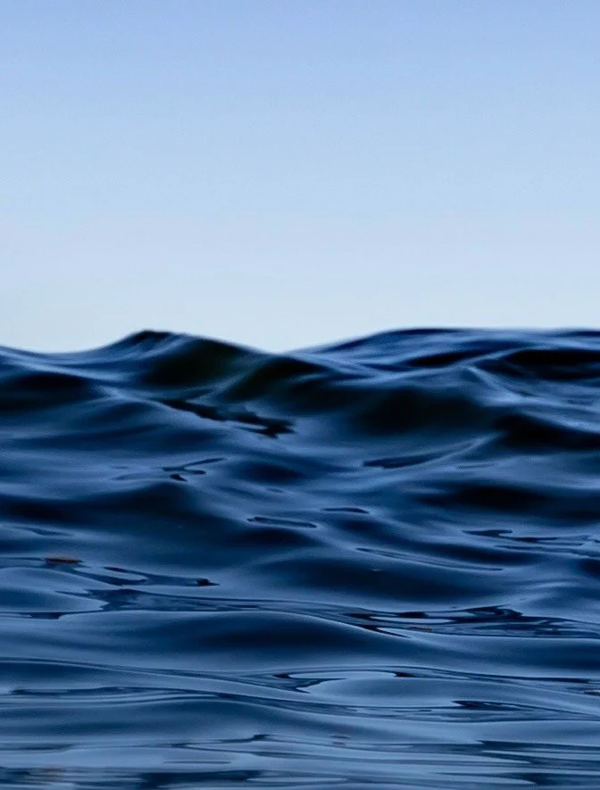 ENGRAVINGS 001

Some clean engravings provided by wind and gravity ~

#waveshape 
#oc&eacute;an 
#oceanscape
#dof