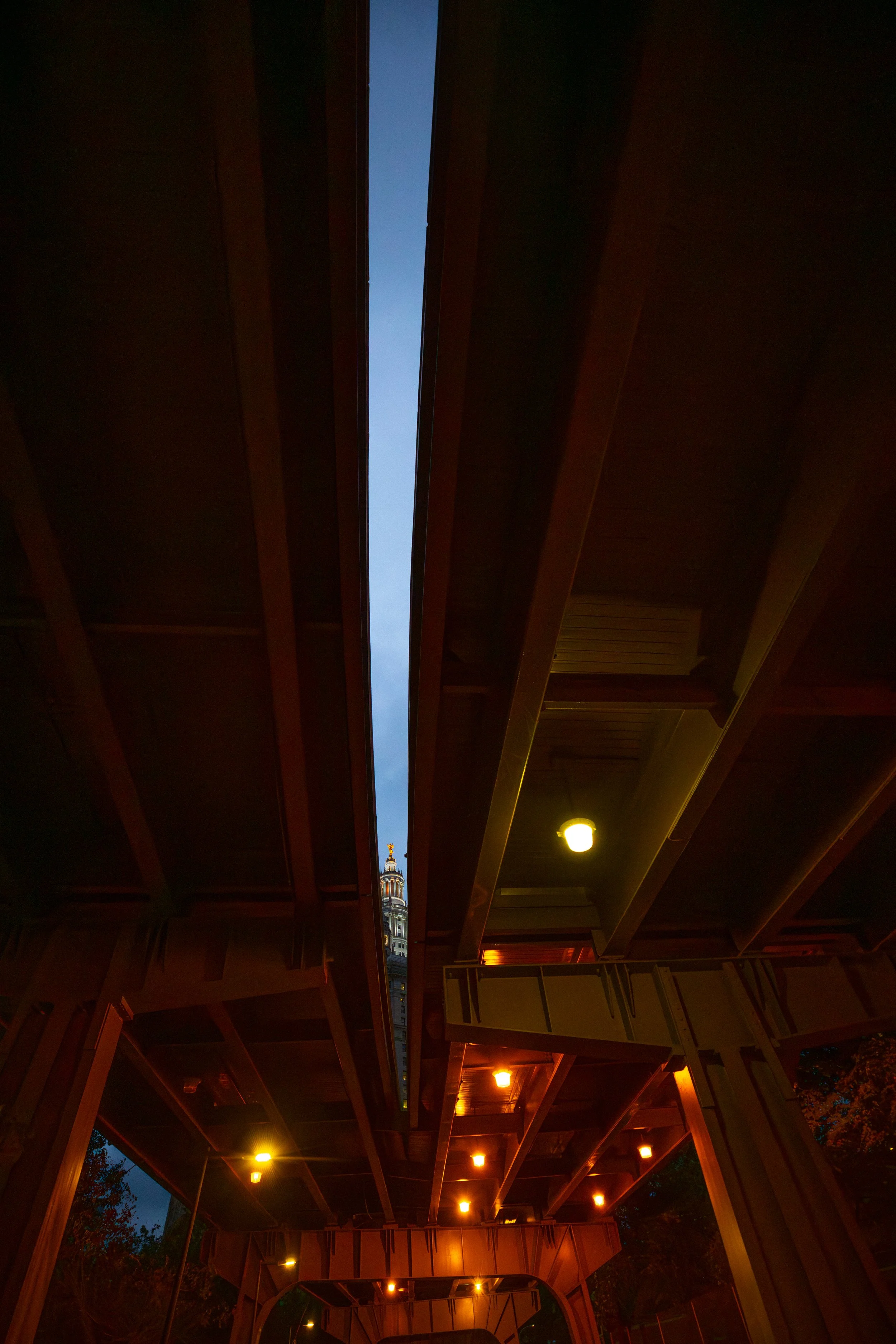 A18I1927-Enhanced-NR.jpg