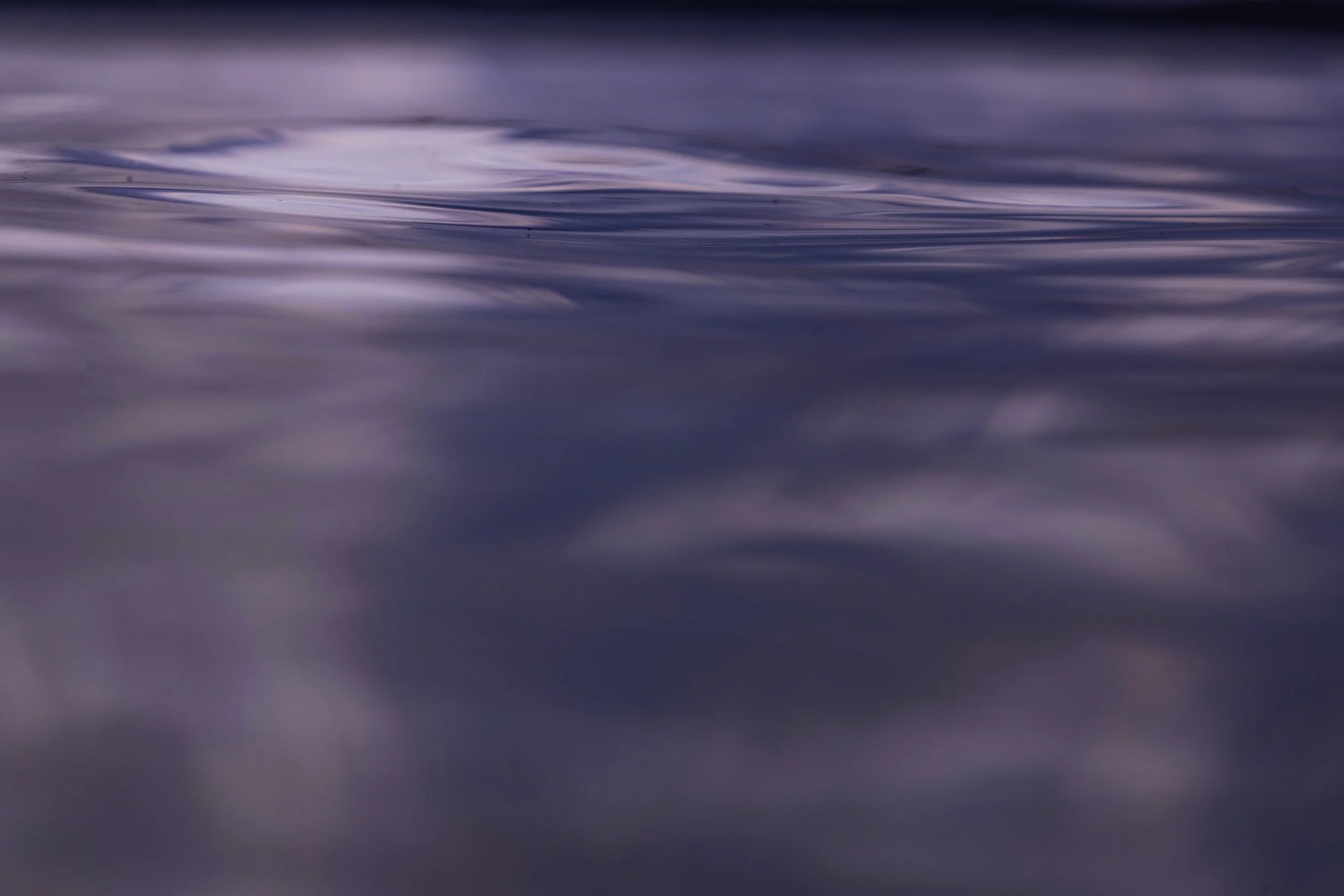 A18I9602.jpg