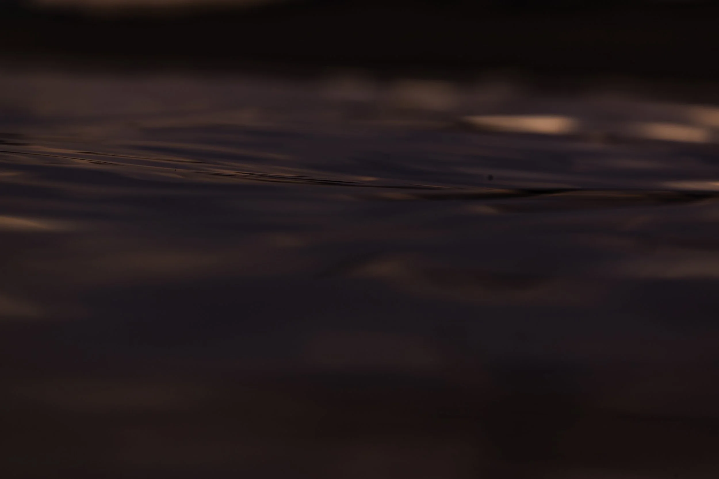 A18I9618.jpg