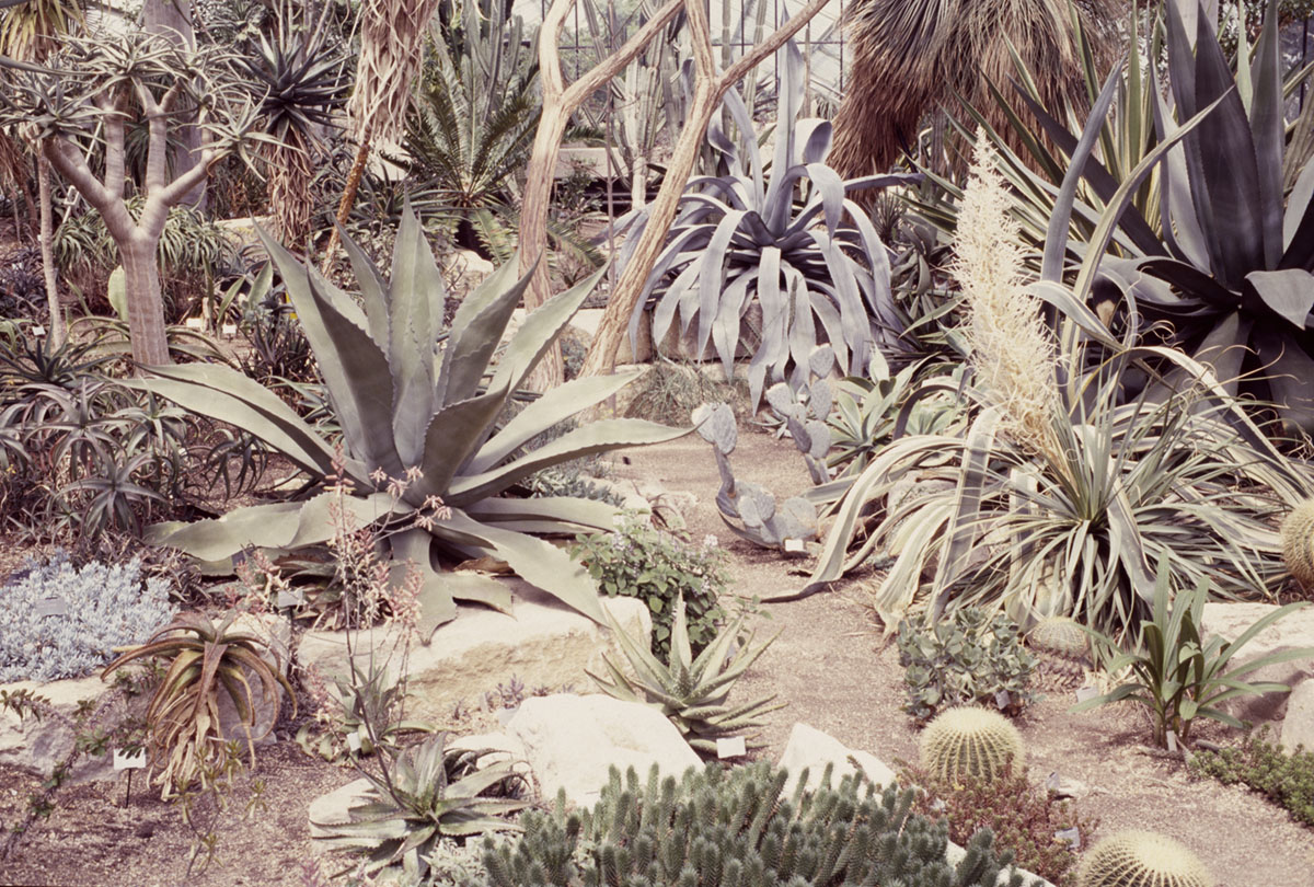kew gardens
