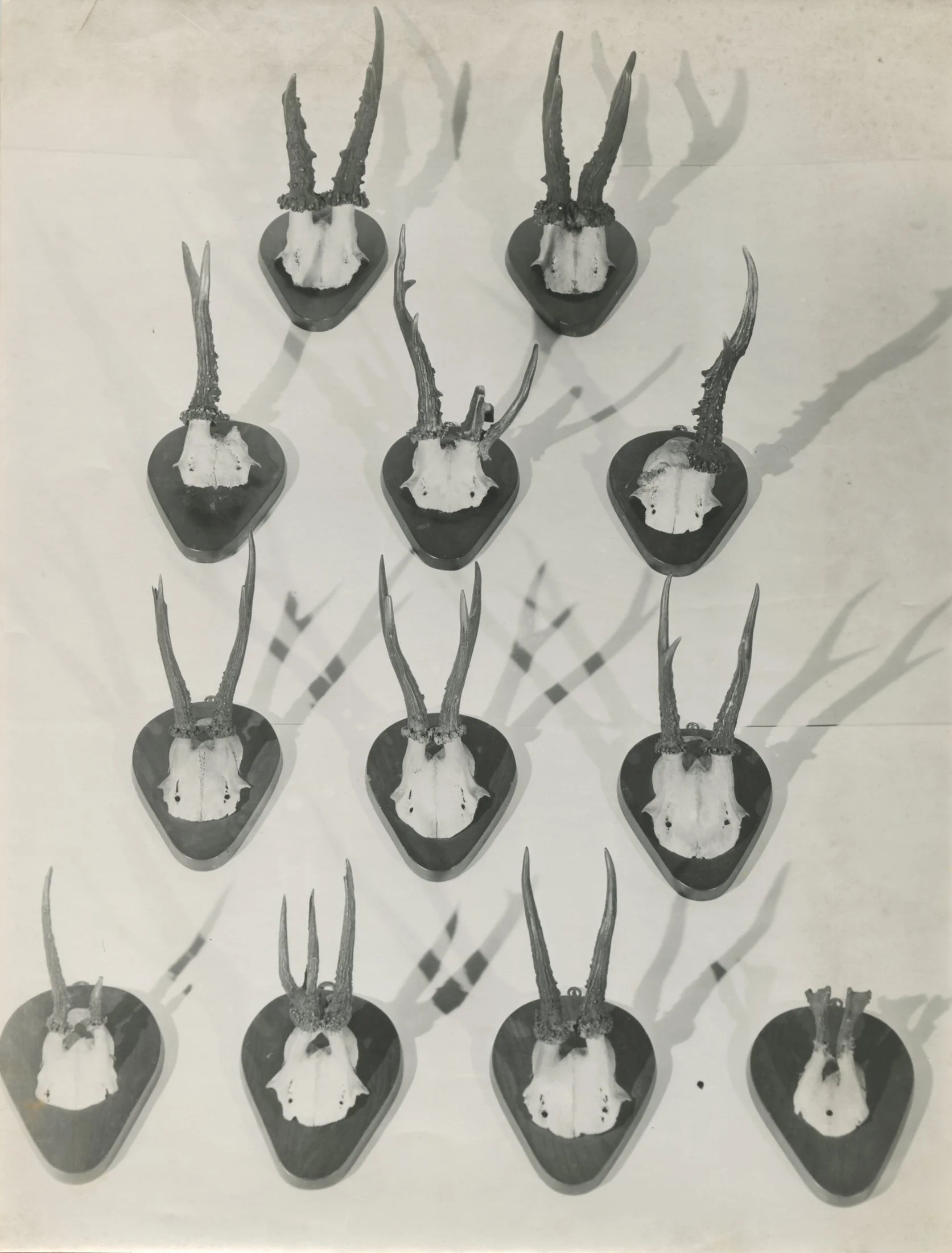 DIVERS373.jpg