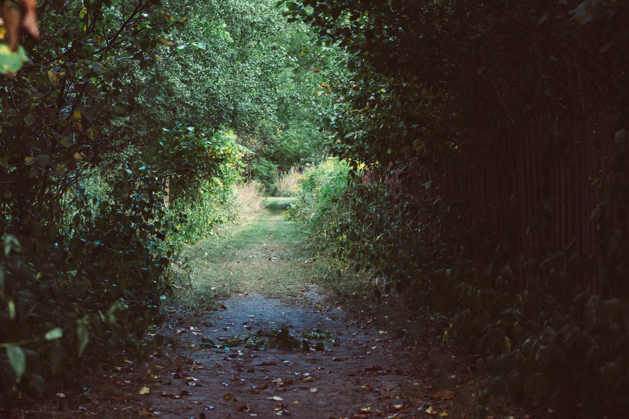 _DSC9020.jpg